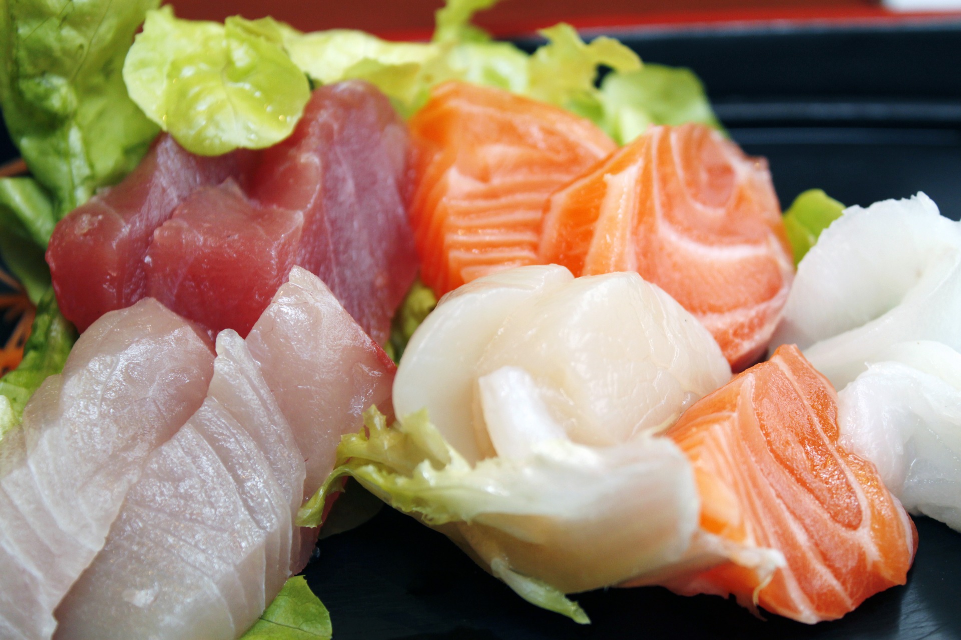 Free download high resolution image - free image free photo free stock image public domain picture -set of sushi on a plate in a single,