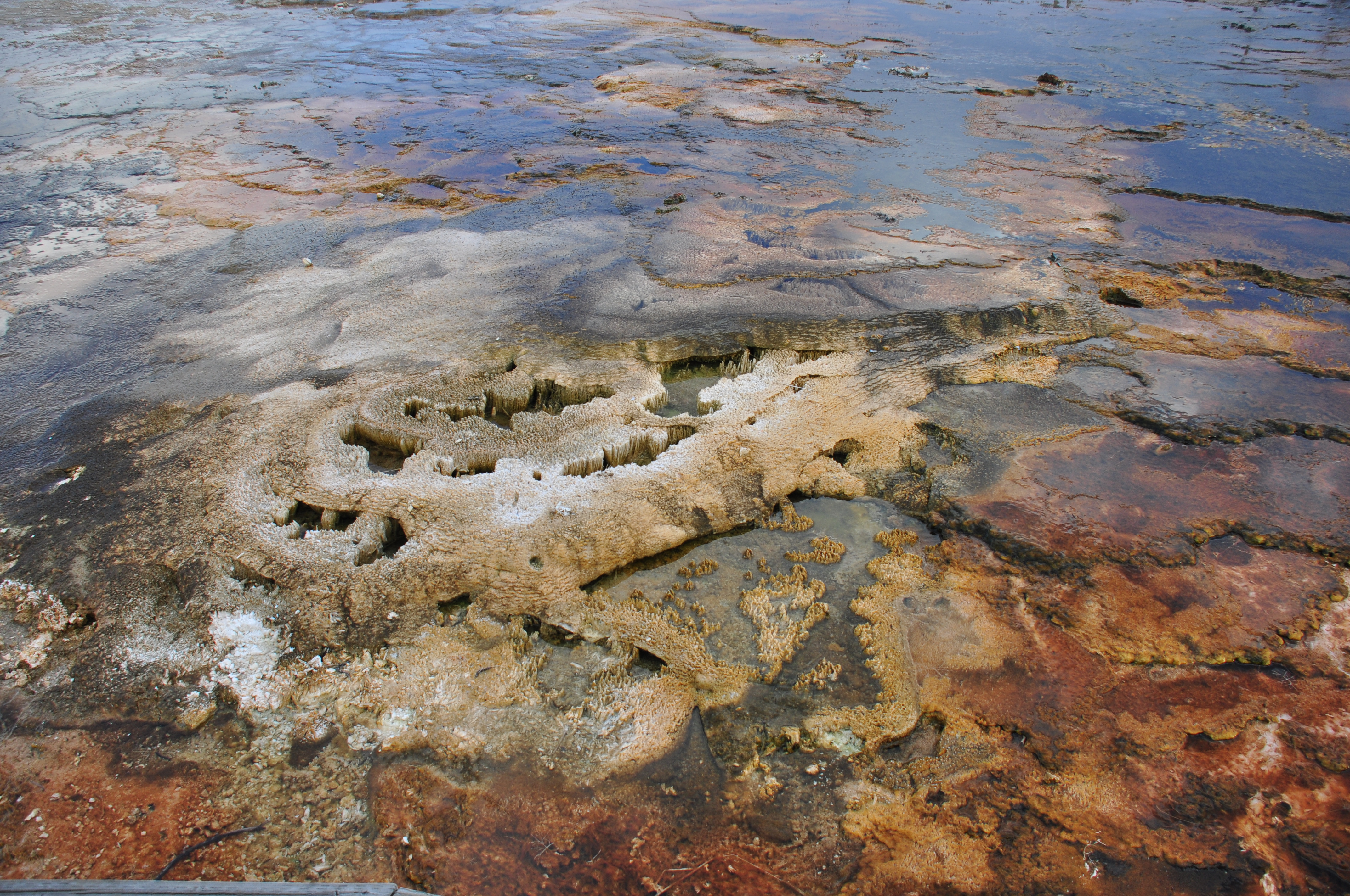 Free download high resolution image - free image free photo free stock image public domain picture -Blue Geyser Pool at Yellowstone