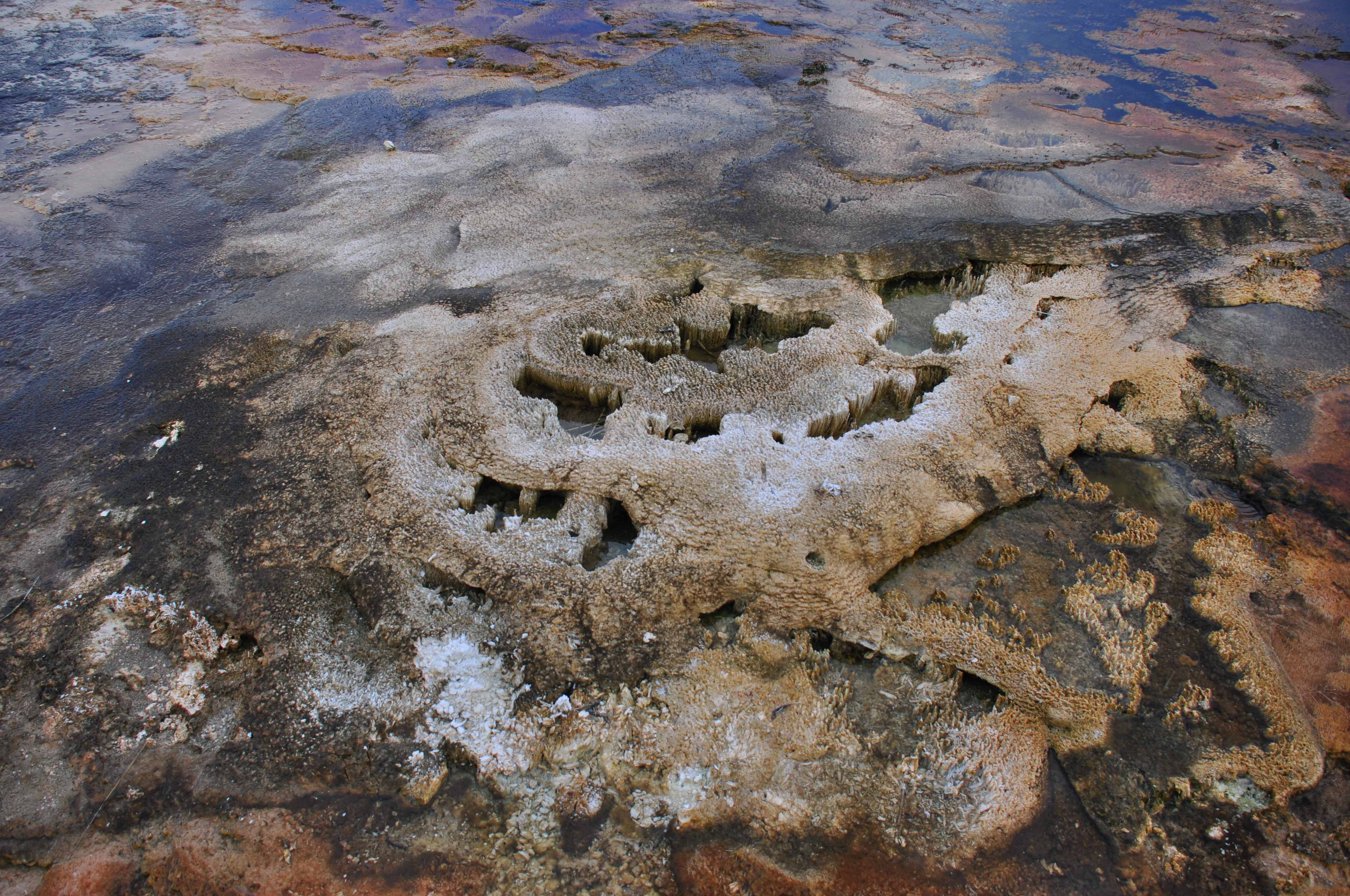 Free download high resolution image - free image free photo free stock image public domain picture -Blue Geyser Pool at Yellowstone