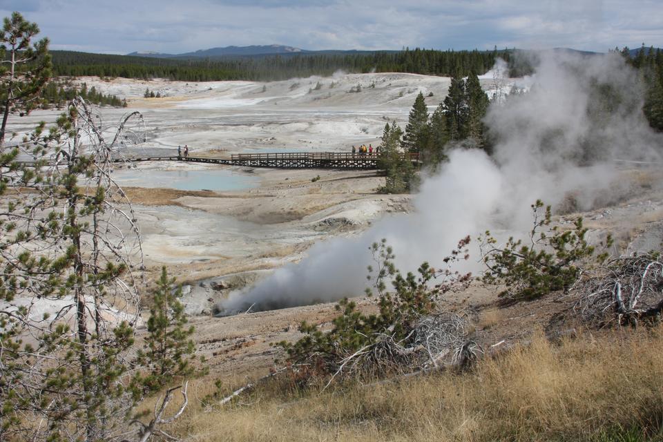 Free download high resolution image - free image free photo free stock image public domain picture  Steaming geysers Lamar Valley, Yellowstone National Park