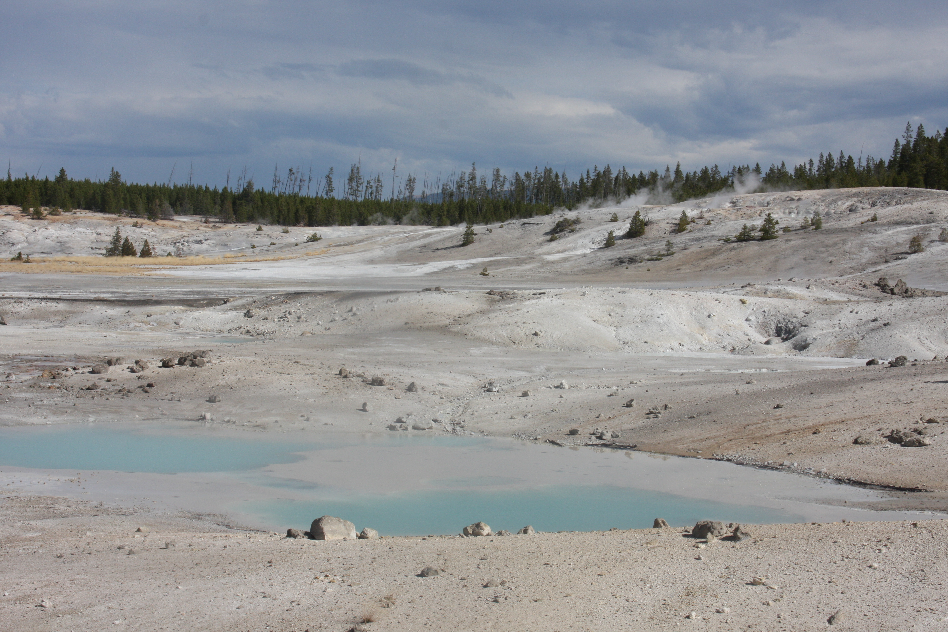 Free download high resolution image - free image free photo free stock image public domain picture -Steaming geysers Lamar Valley, Yellowstone National Park