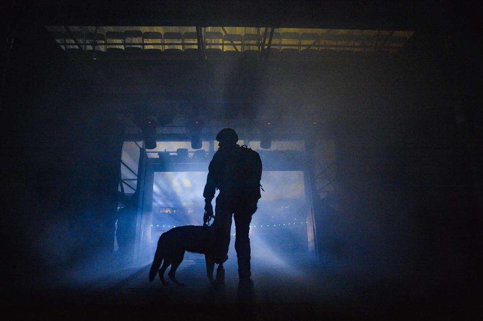 Free download high resolution image - free image free photo free stock image public domain picture  Silhouette of a dog and a soldier