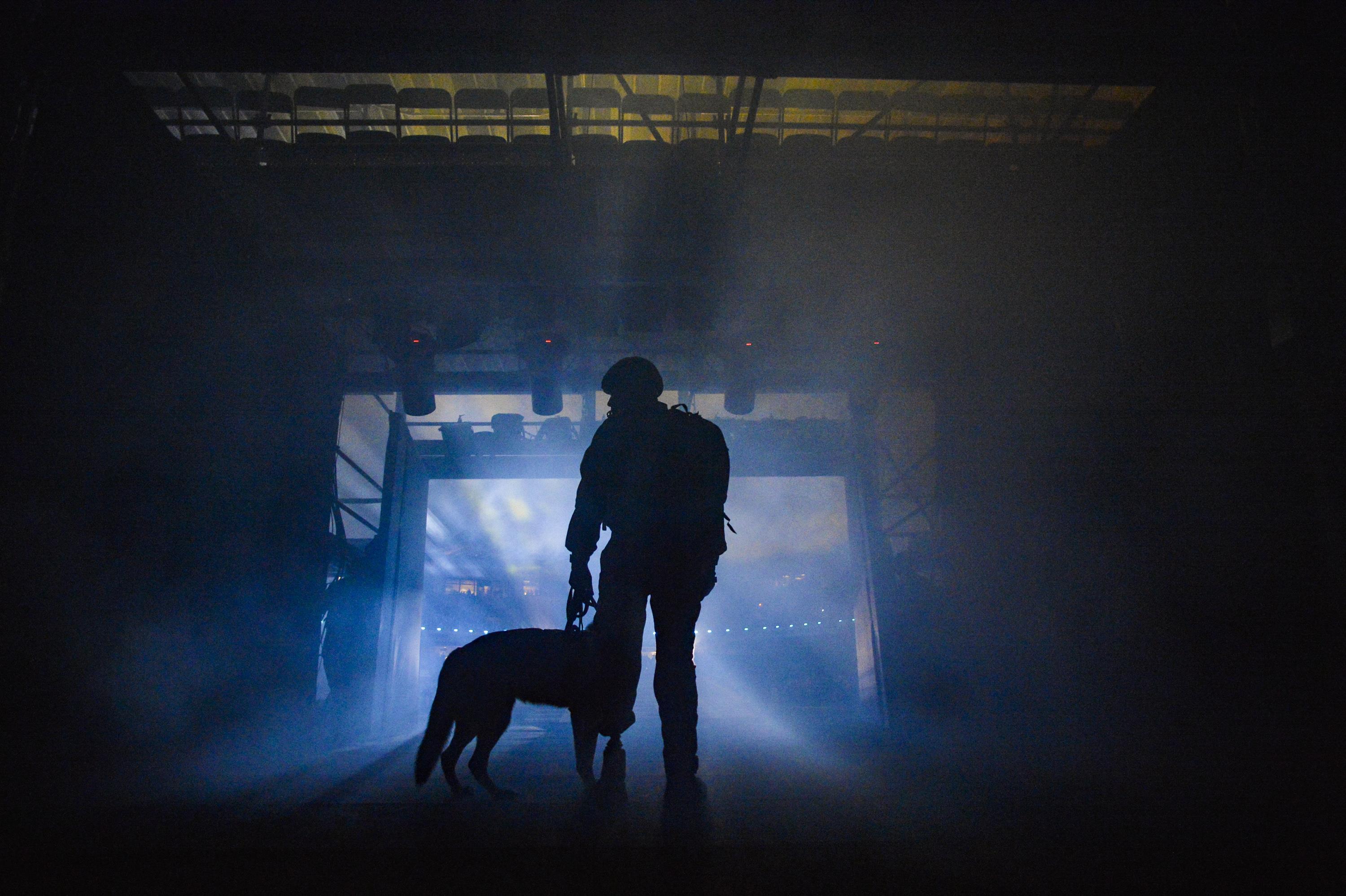 Free download high resolution image - free image free photo free stock image public domain picture -Silhouette of a dog and a soldier