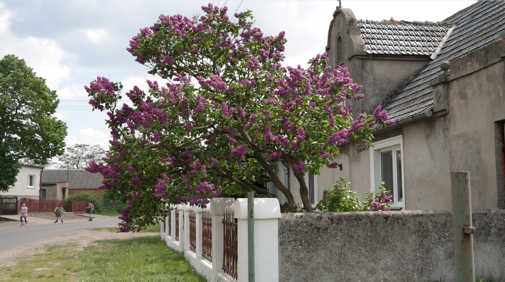 Free download high resolution image - free image free photo free stock image public domain picture -countryside