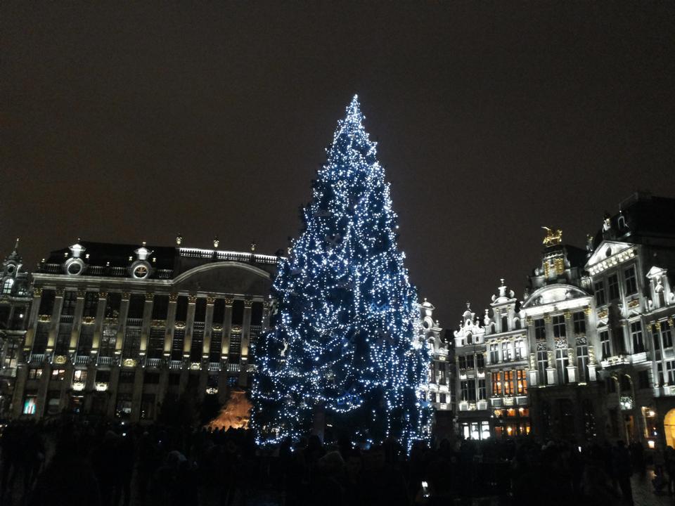 Free download high resolution image - free image free photo free stock image public domain picture  Christmas Tree on Grand Place, Brussels, Belgium