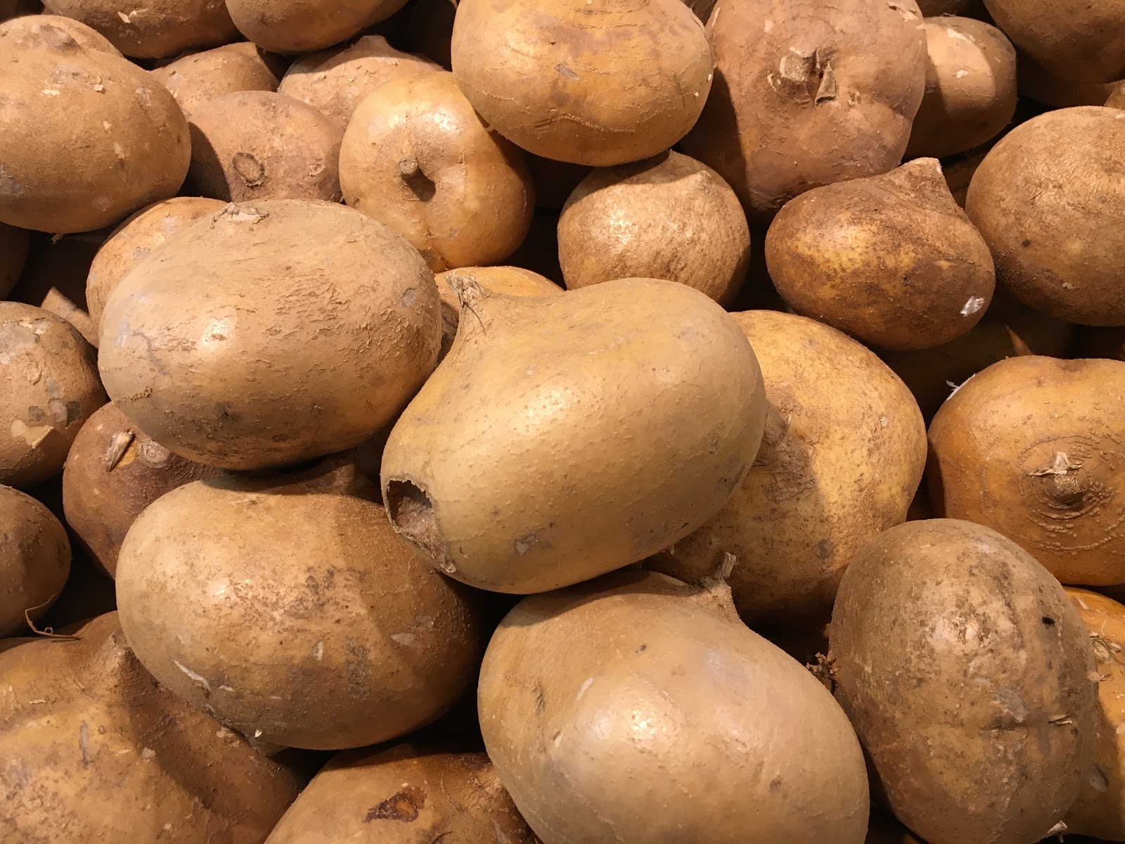 Free download high resolution image - free image free photo free stock image public domain picture -Potato