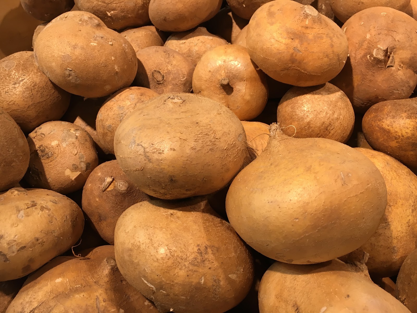 Free download high resolution image - free image free photo free stock image public domain picture -Potato