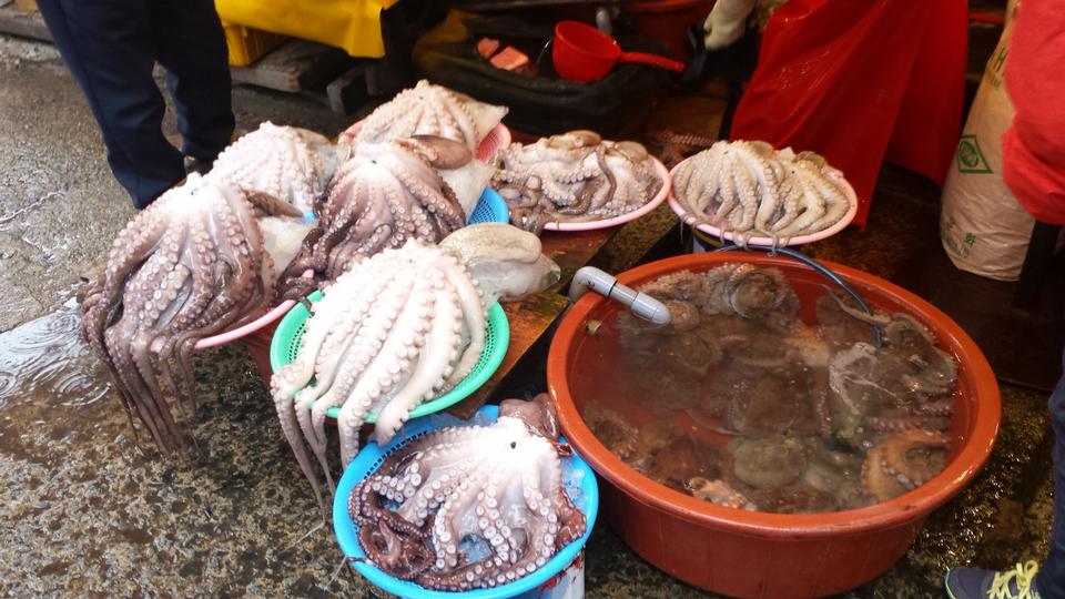 Free download high resolution image - free image free photo free stock image public domain picture  Busan, Korea Jagalchi Fish Market