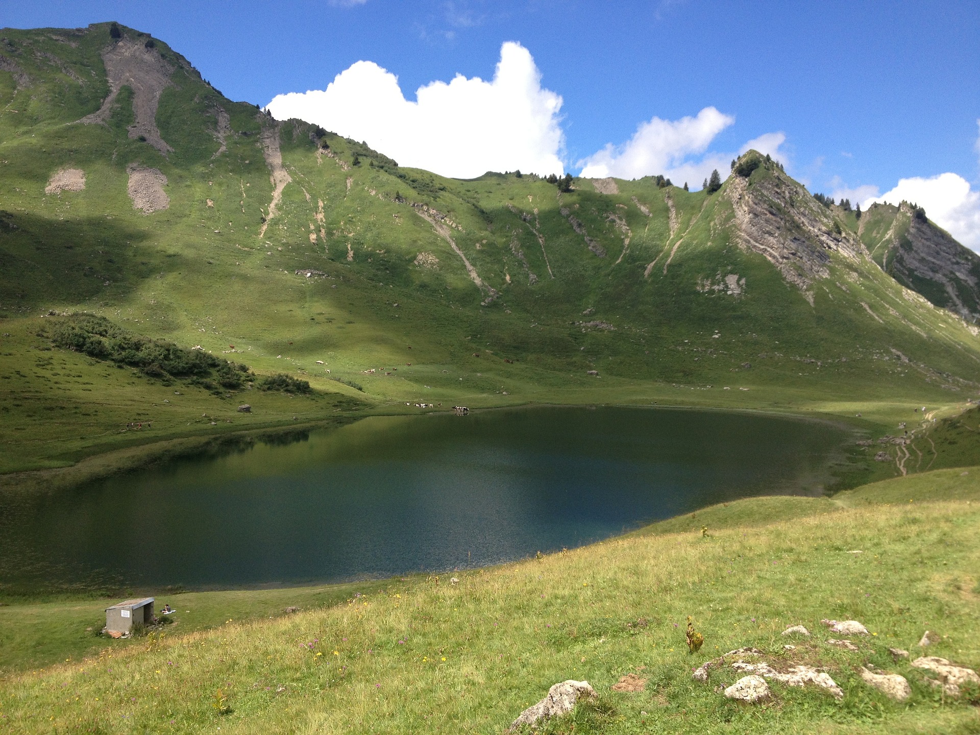 Free download high resolution image - free image free photo free stock image public domain picture -Lac France Water Lake Landscape Nature Alps