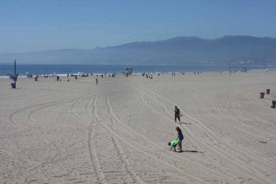 Free download high resolution image - free image free photo free stock image public domain picture  venice beach california