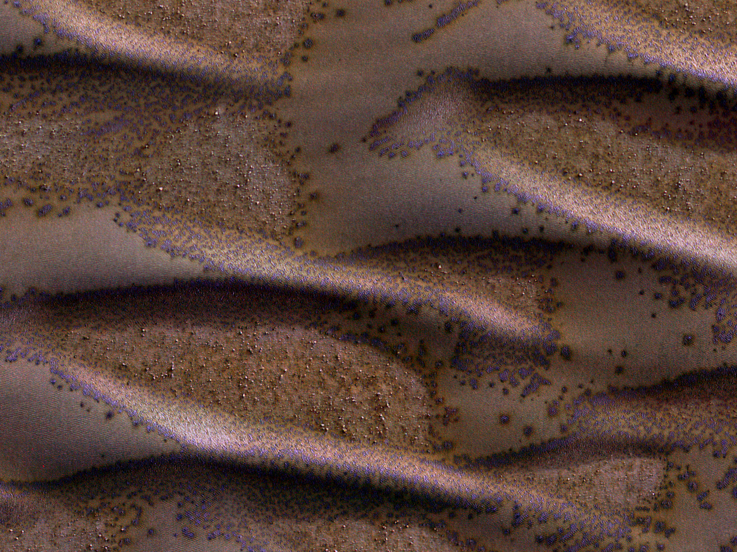 Free download high resolution image - free image free photo free stock image public domain picture -Frosted Dunes on Mars