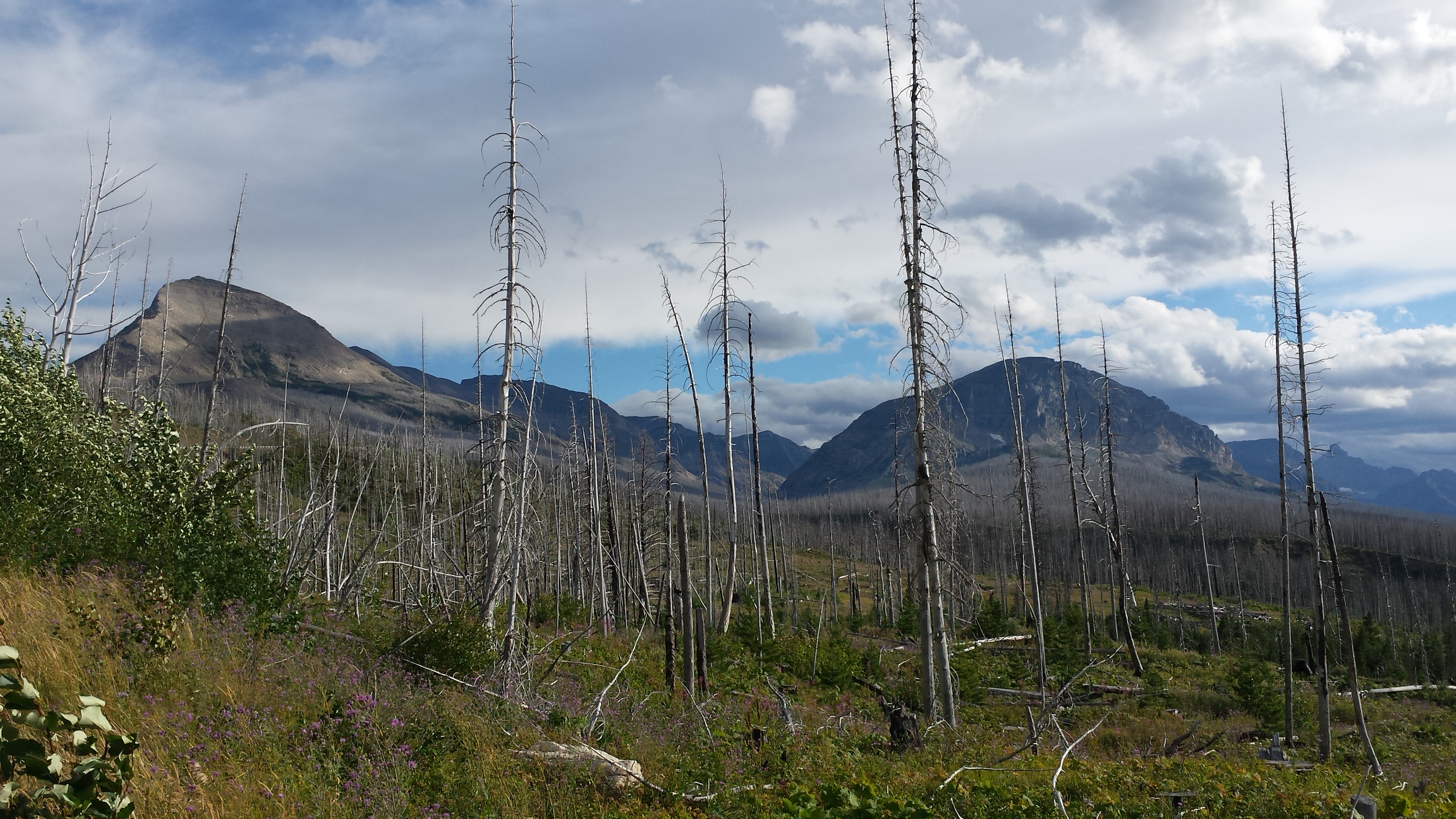 Free download high resolution image - free image free photo free stock image public domain picture -Trail in Glacier National Park, Montana