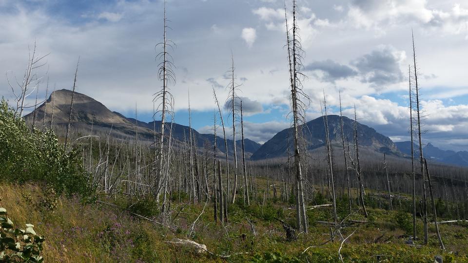 Free download high resolution image - free image free photo free stock image public domain picture  Trail in Glacier National Park, Montana