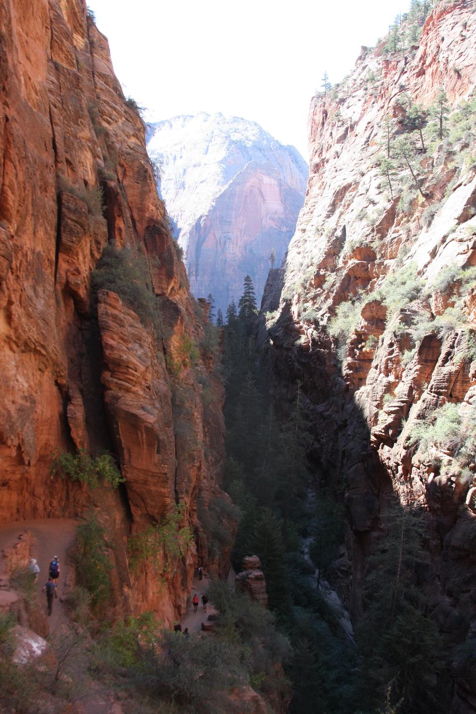 Free download high resolution image - free image free photo free stock image public domain picture  Zion Canyon from Angels Landing,in Zion National Park Utah