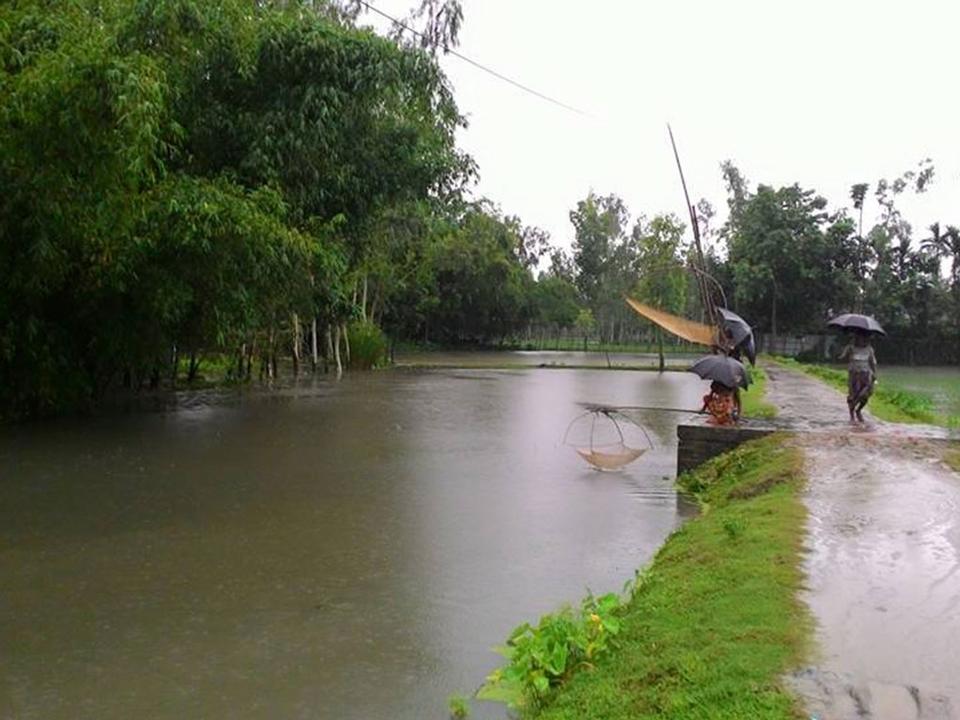 Free download high resolution image - free image free photo free stock image public domain picture  Bangladeshi village in a rainy day.