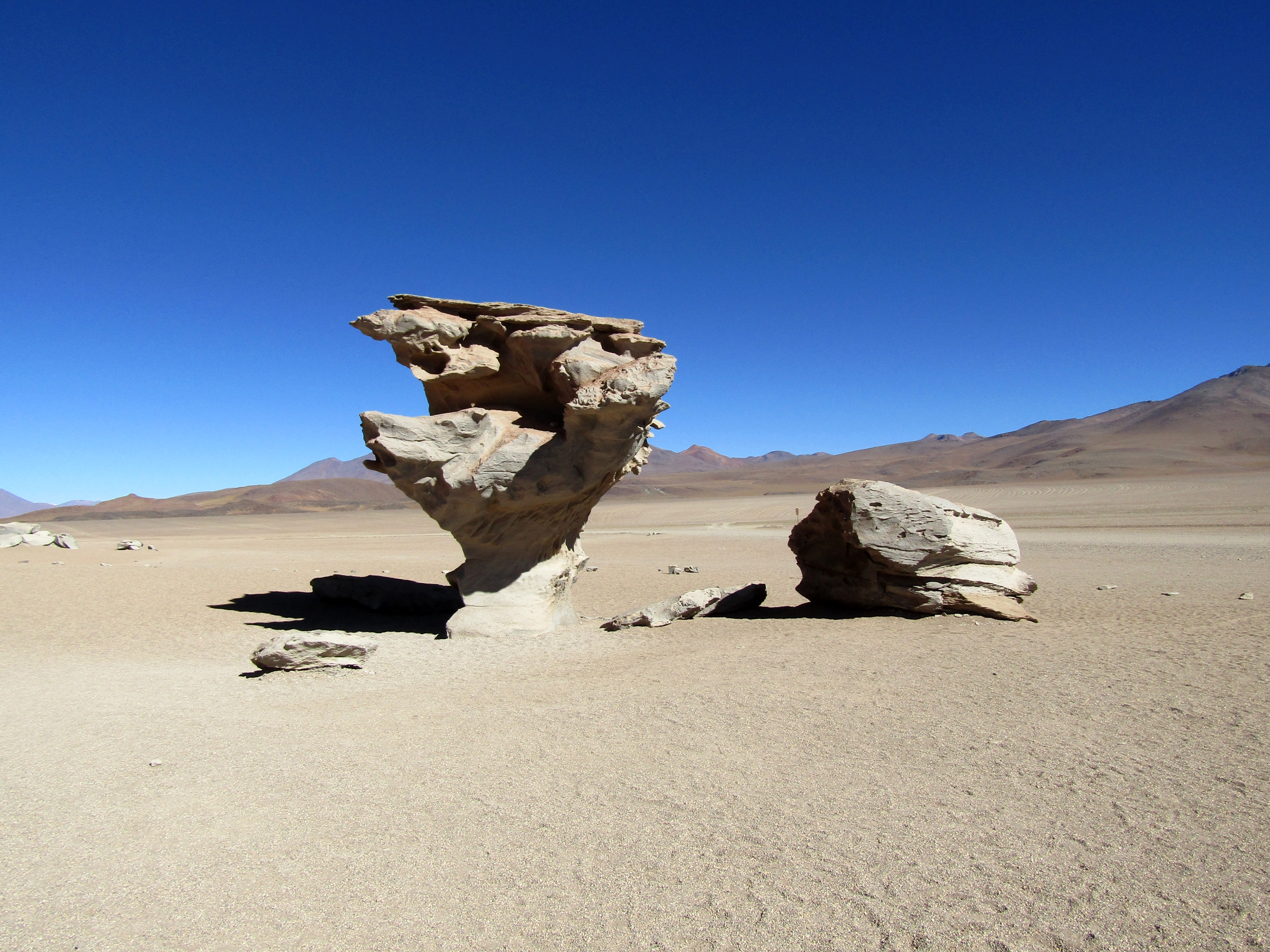 Free download high resolution image - free image free photo free stock image public domain picture -Stone tree