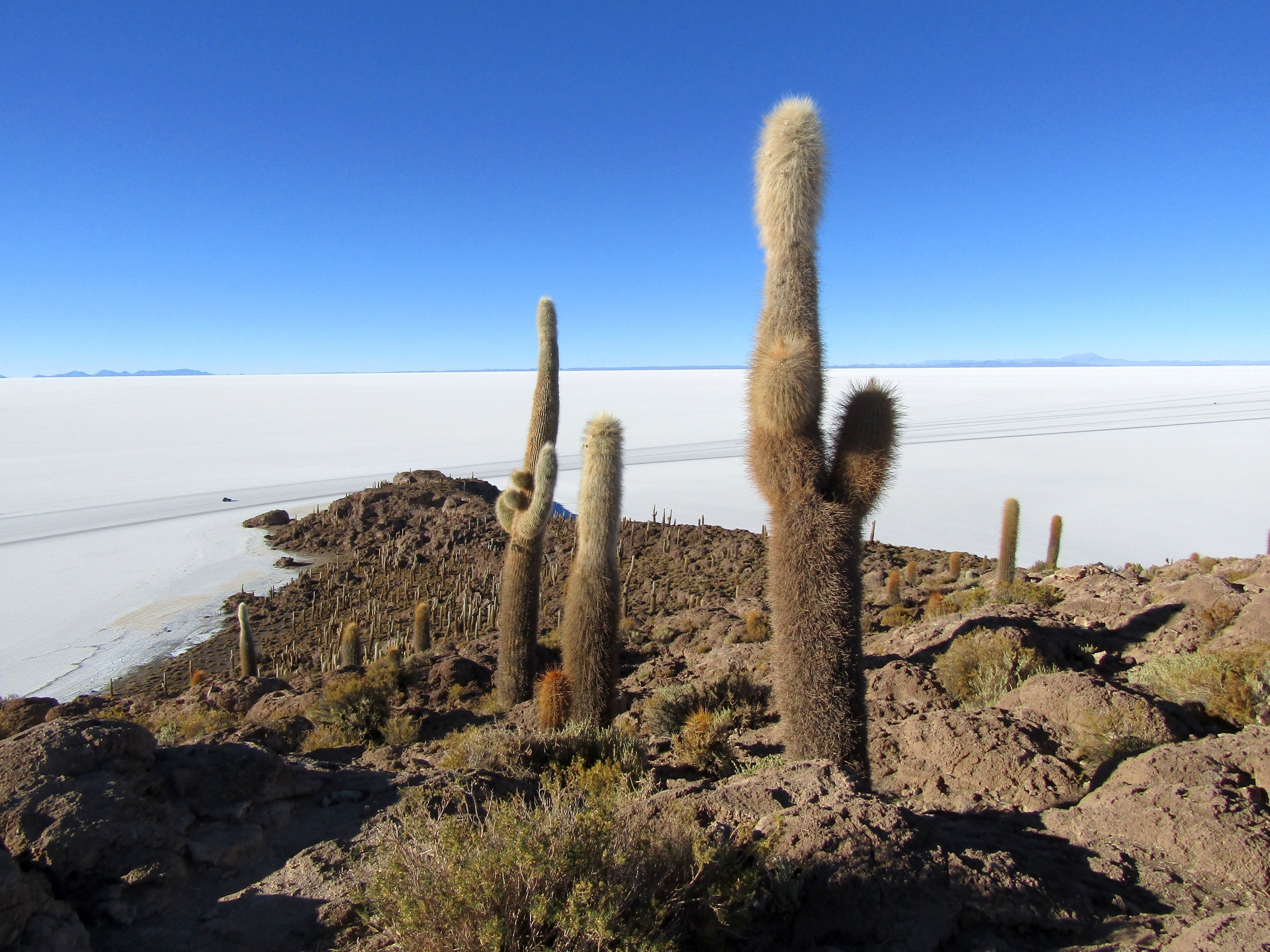 Free download high resolution image - free image free photo free stock image public domain picture -Isla Incahuasi