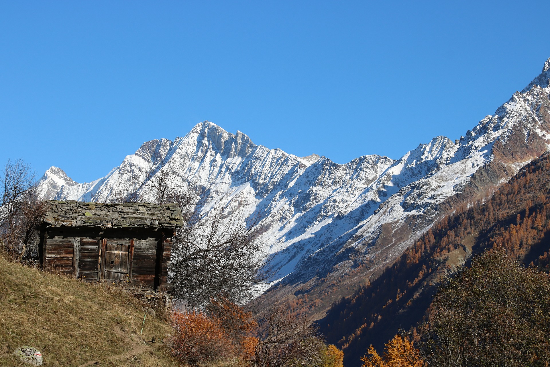 Free download high resolution image - free image free photo free stock image public domain picture -Switzerland Lötschental Alpine Valais Alp Alm