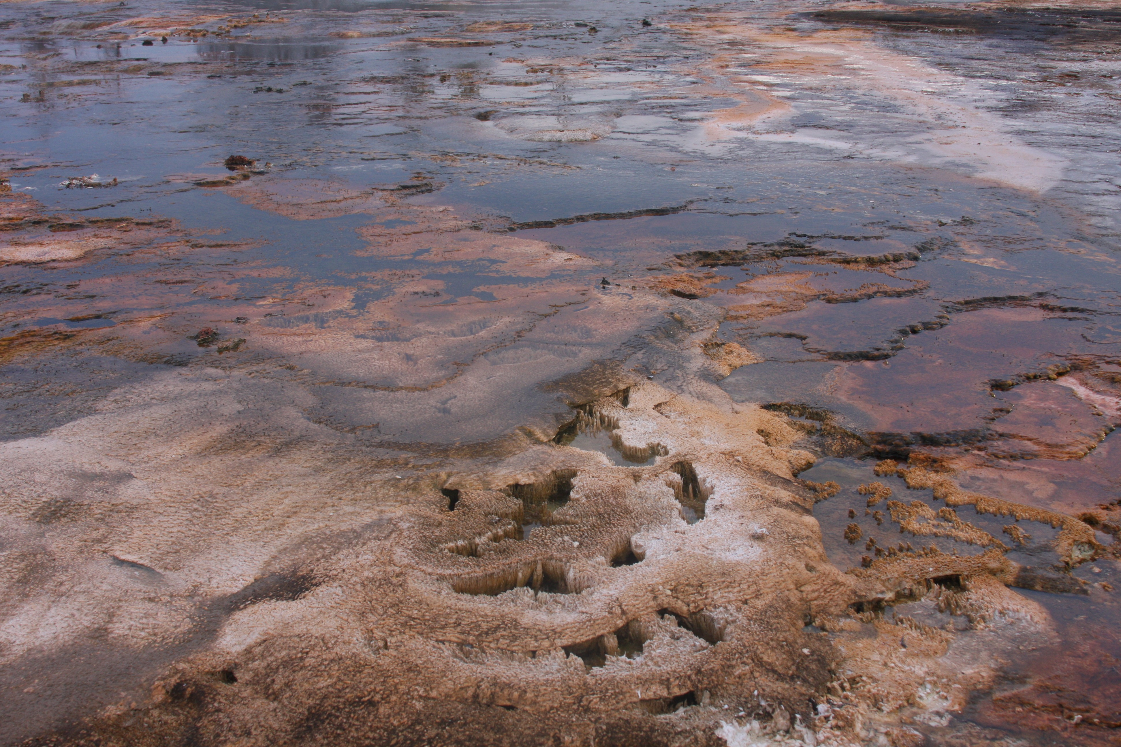 Free download high resolution image - free image free photo free stock image public domain picture -Yellowstone National Park, Wyoming