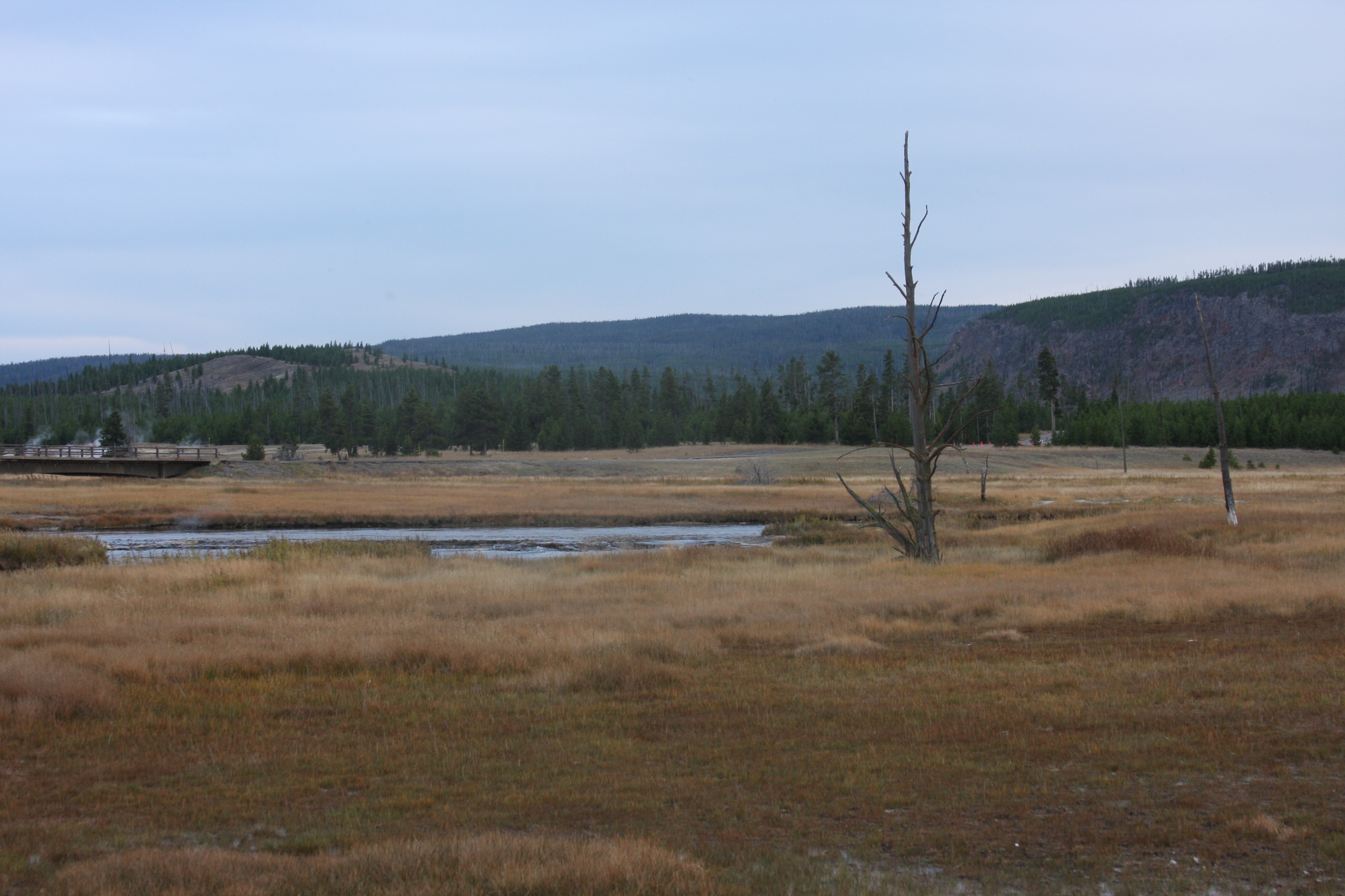 Free download high resolution image - free image free photo free stock image public domain picture -Old Faithful Geyser in Yellowstone National Park