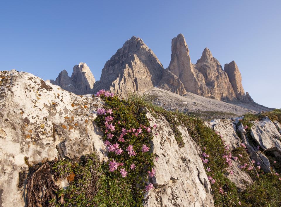 Free download high resolution image - free image free photo free stock image public domain picture  Misurina range in National Park Tre Cime di Lavaredo. Dolomites,