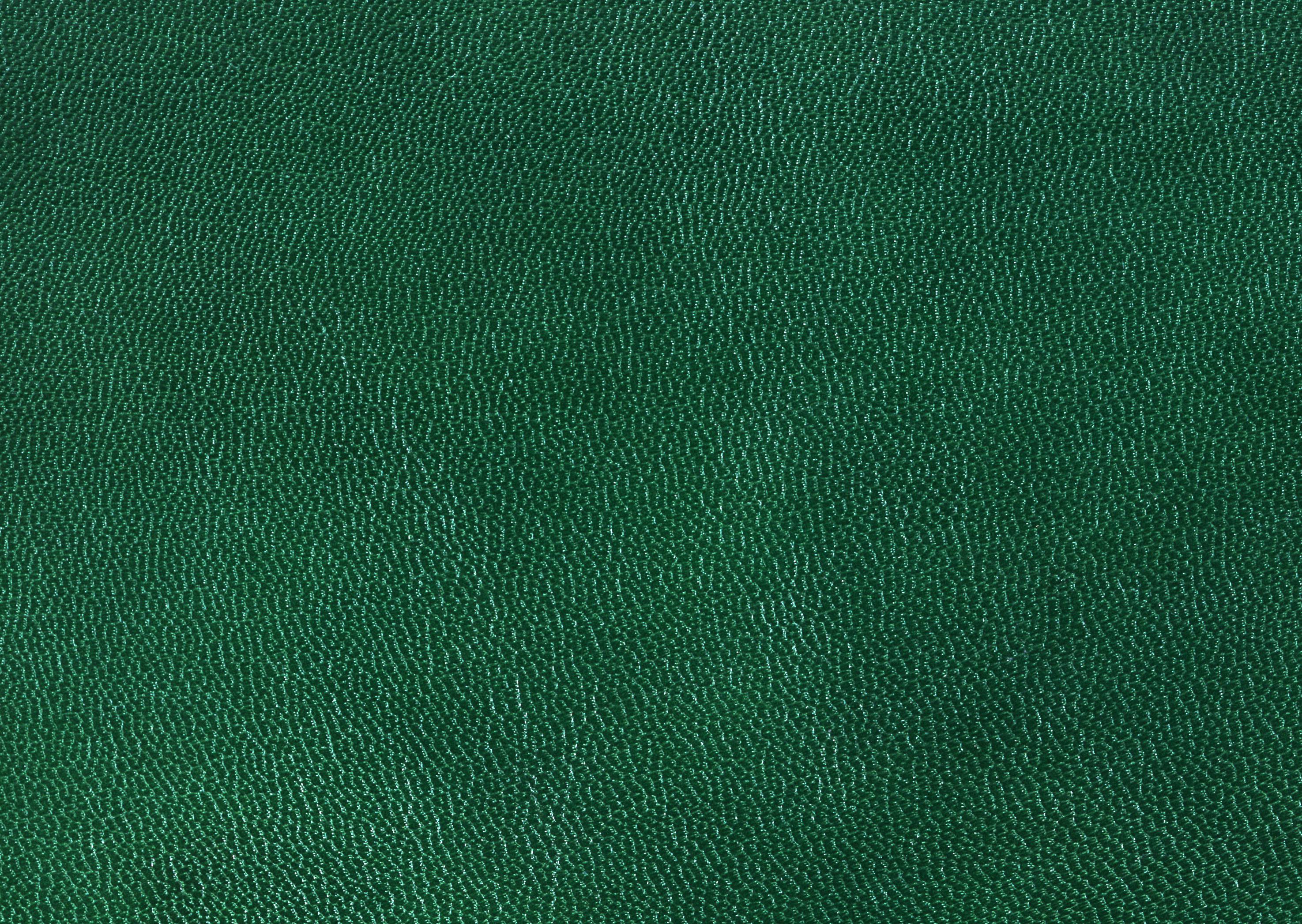 Free download high resolution image - free image free photo free stock image public domain picture -Leather background or texture