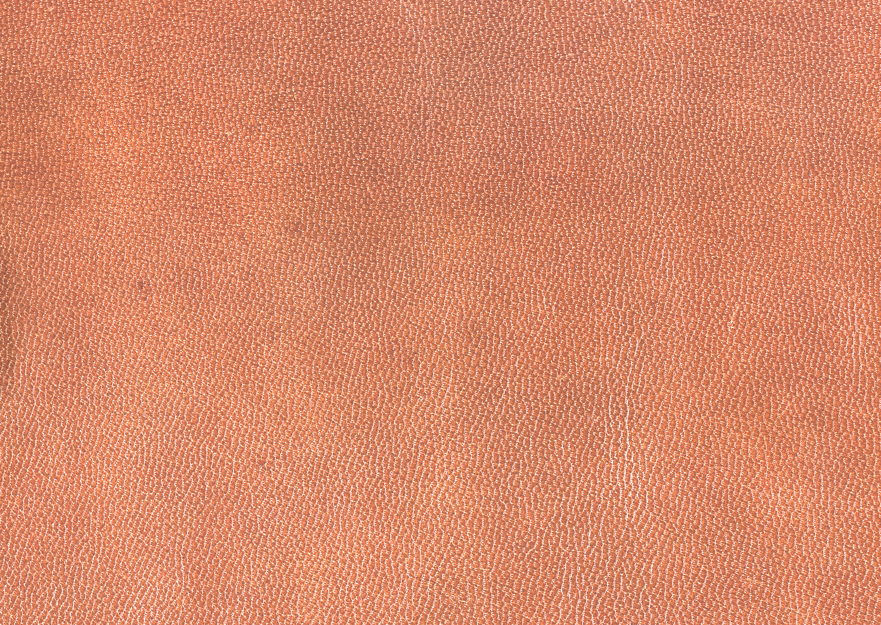 Free download high resolution image - free image free photo free stock image public domain picture -Leather background or texture