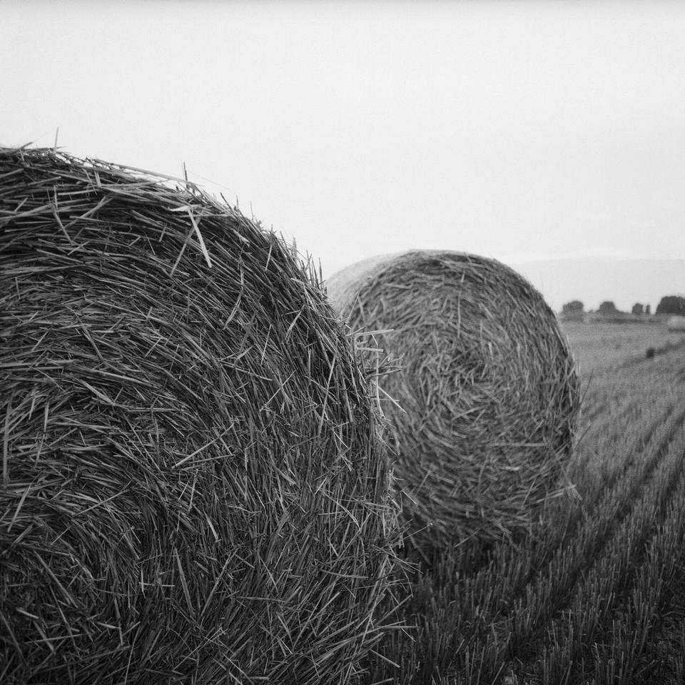 Free download high resolution image - free image free photo free stock image public domain picture  hay-roll on meadow