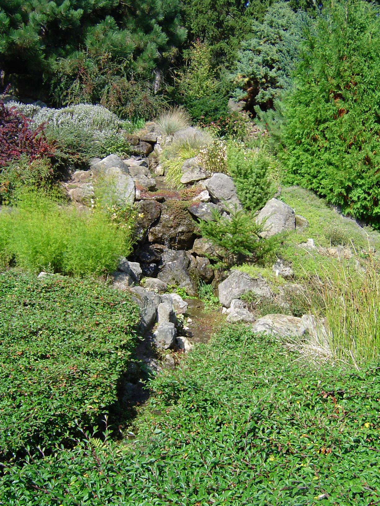 Free download high resolution image - free image free photo free stock image public domain picture -Rocks in the grass