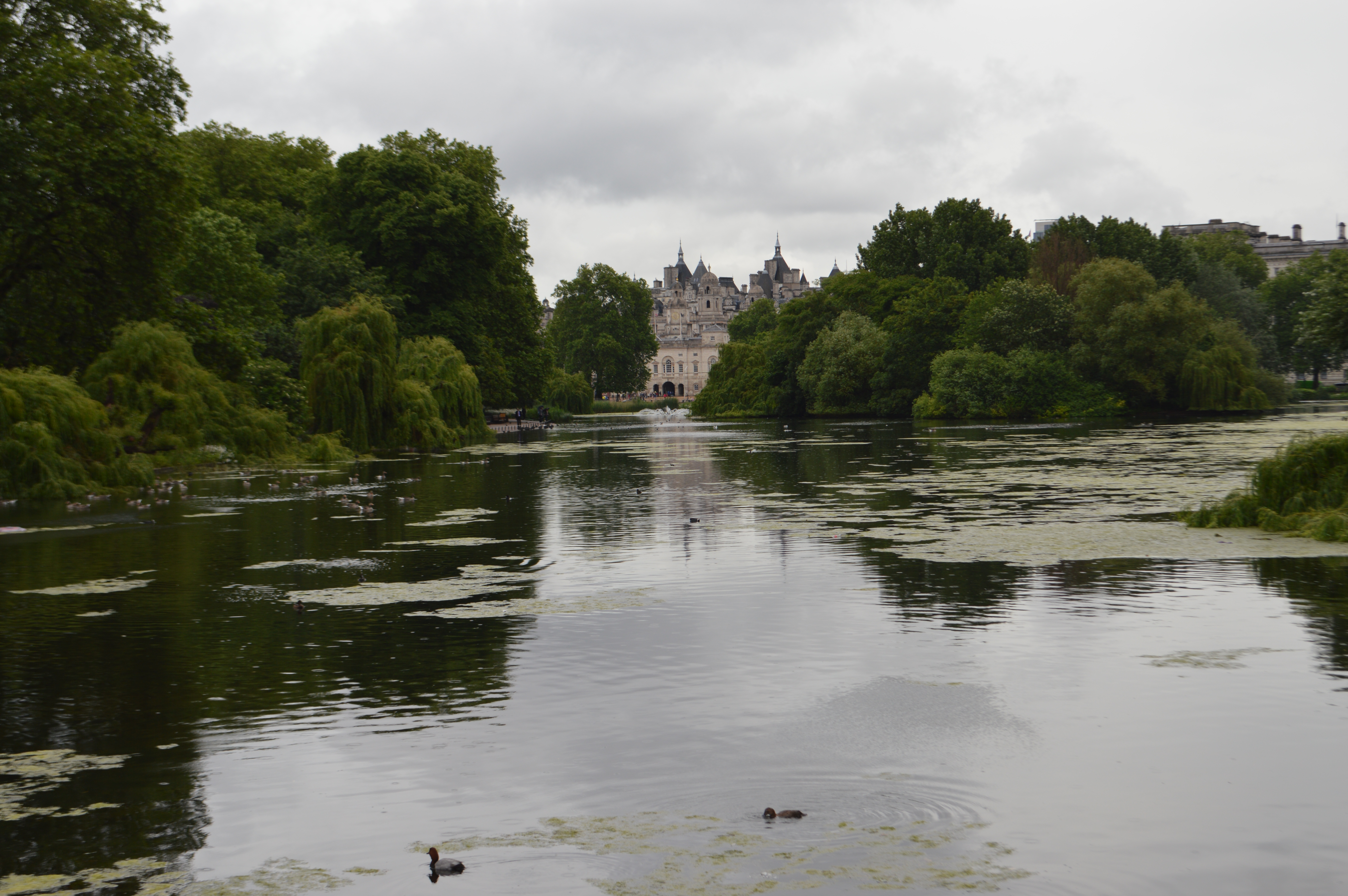 Free download high resolution image - free image free photo free stock image public domain picture -Buckingham Gardens