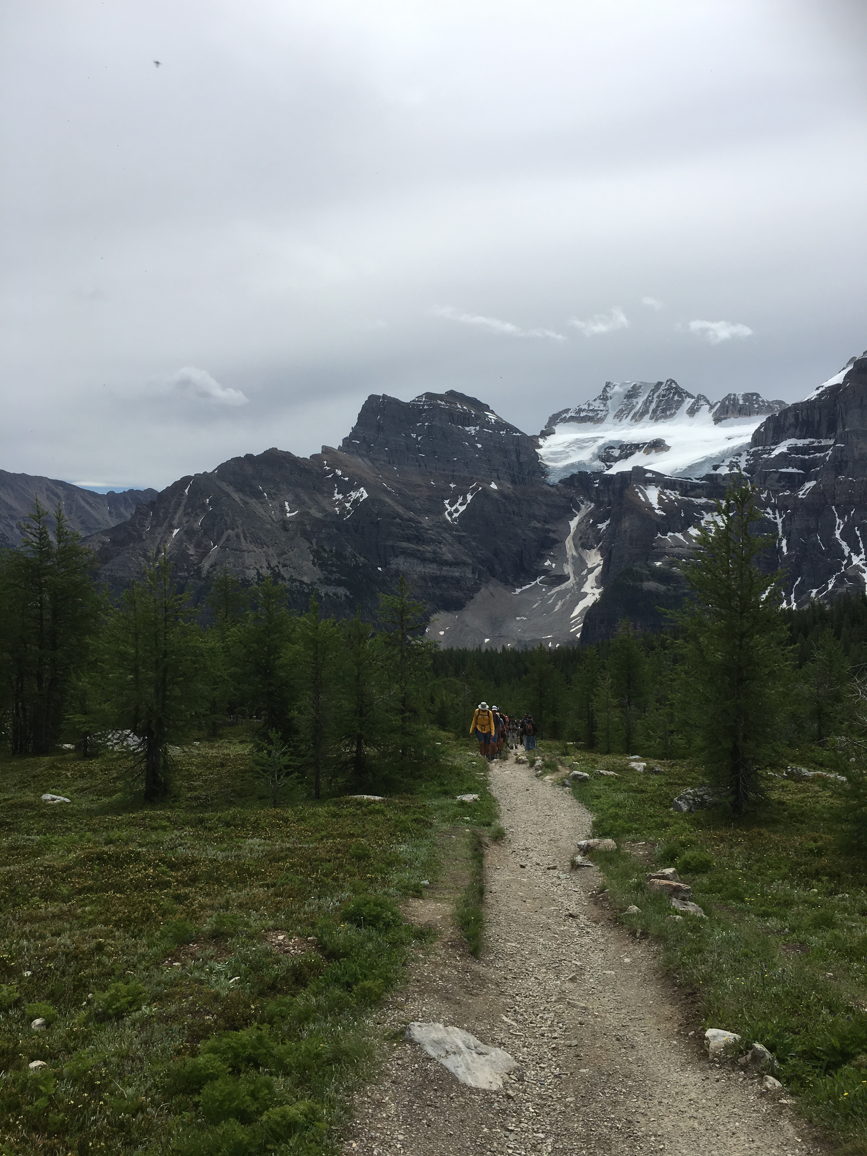 Free download high resolution image - free image free photo free stock image public domain picture -Larch Valley Trail - The Ten Peaks, Moraine Lake, Banff