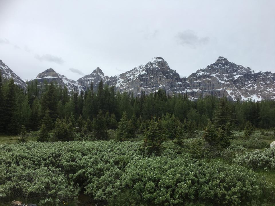 Free download high resolution image - free image free photo free stock image public domain picture  Larch Valley Trail - The Ten Peaks, Moraine Lake, Banff