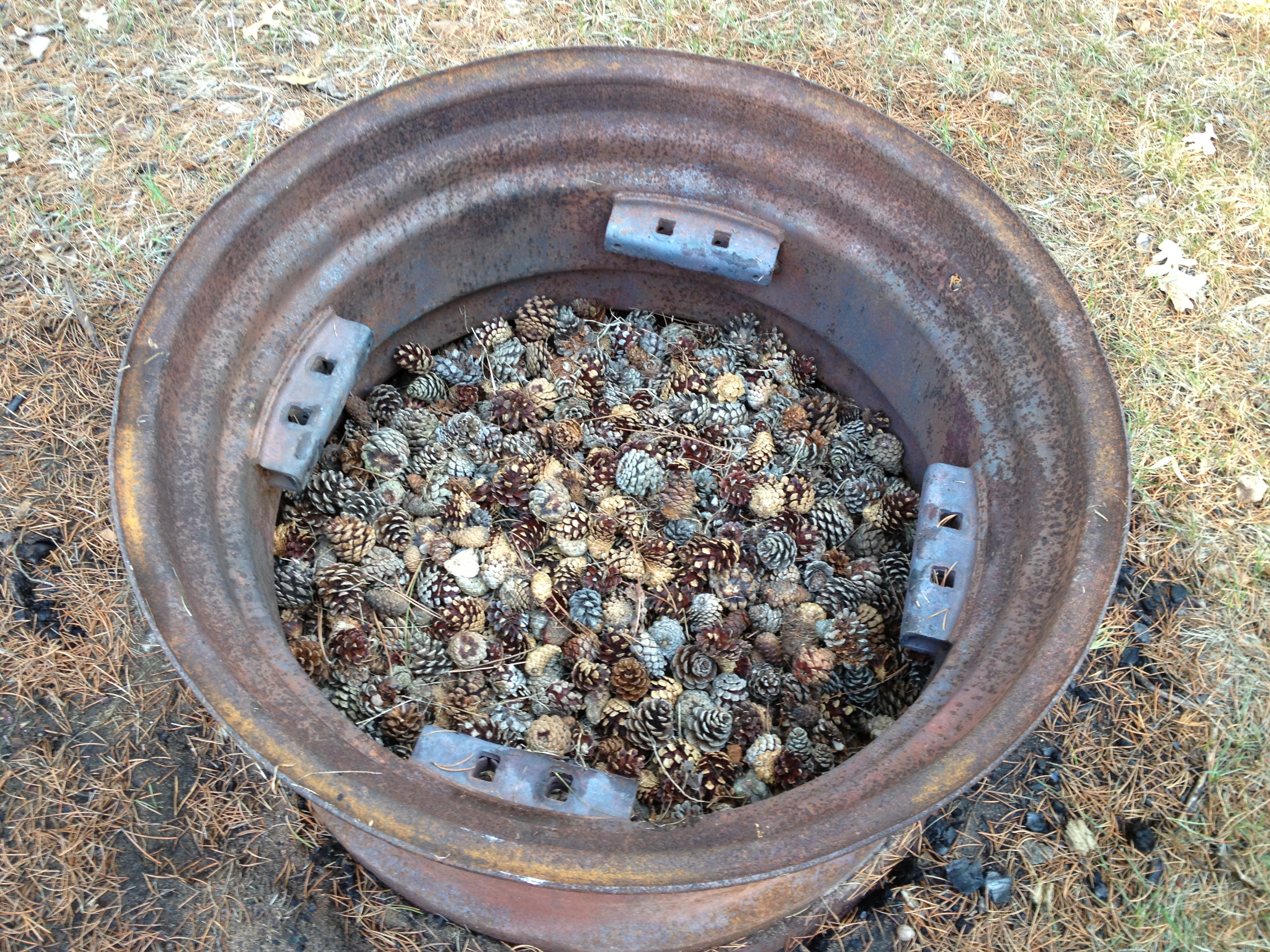 Free download high resolution image - free image free photo free stock image public domain picture -Pine cones in a fire pit