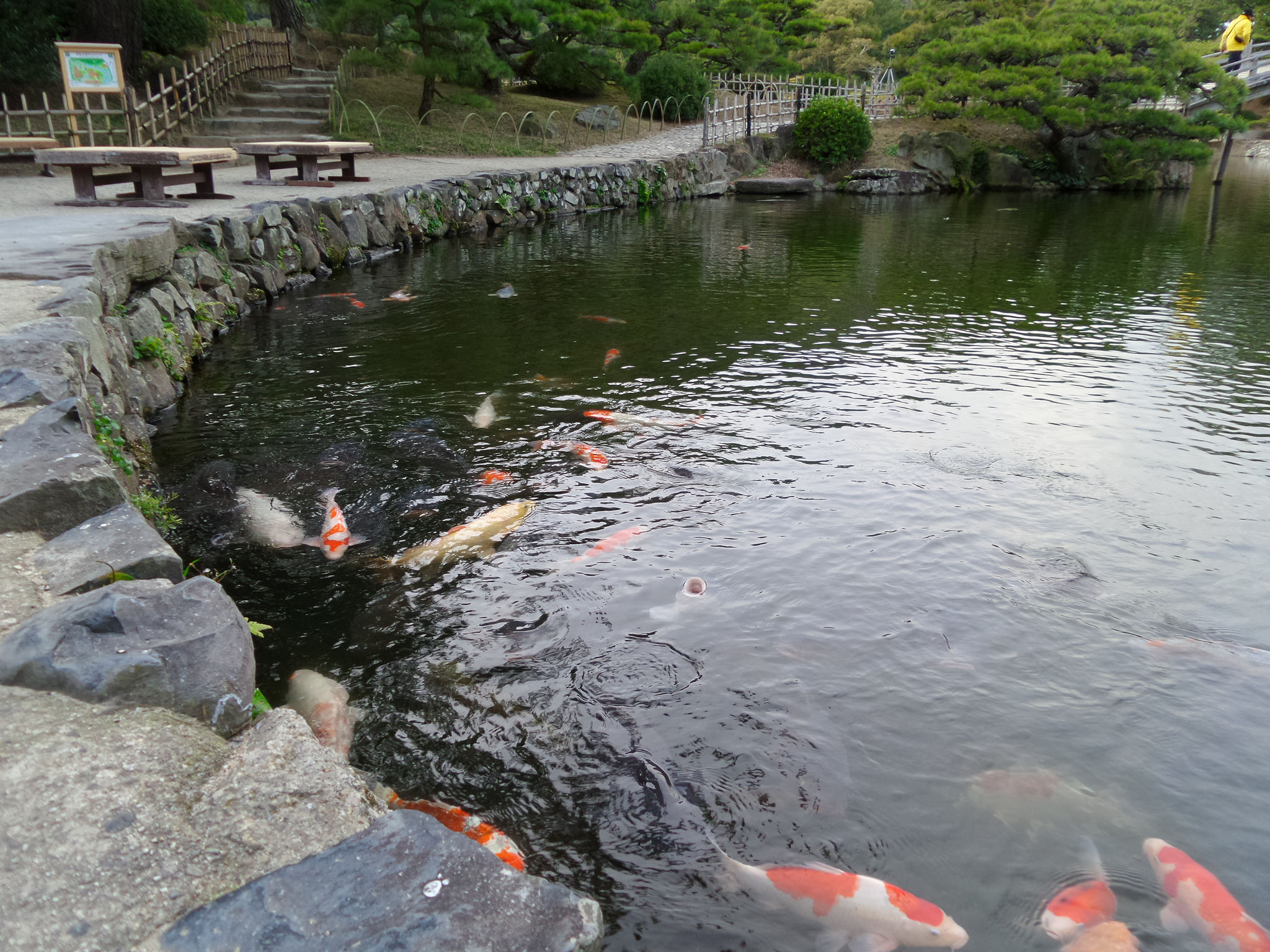 Free download high resolution image - free image free photo free stock image public domain picture -Japanese Garden in Takamatsu Japan