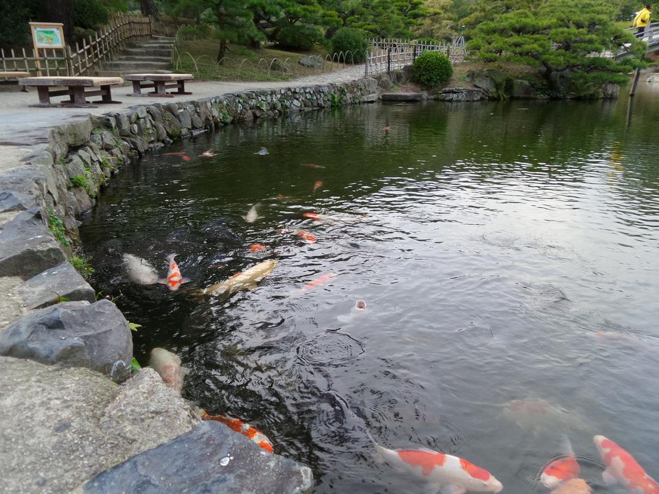 Free download high resolution image - free image free photo free stock image public domain picture  Japanese Garden in Takamatsu Japan