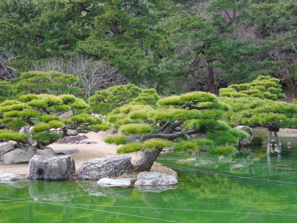 Free download high resolution image - free image free photo free stock image public domain picture  Japanese Garden in Takamatsu Japan