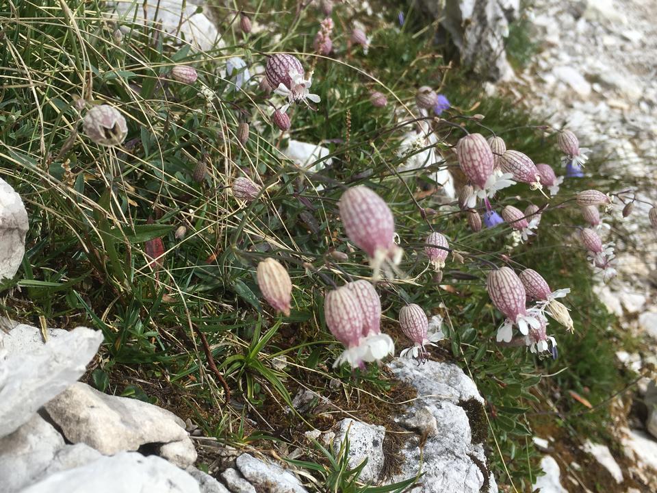 Free download high resolution image - free image free photo free stock image public domain picture  Baita in sudtirol,dolomiti,Italia