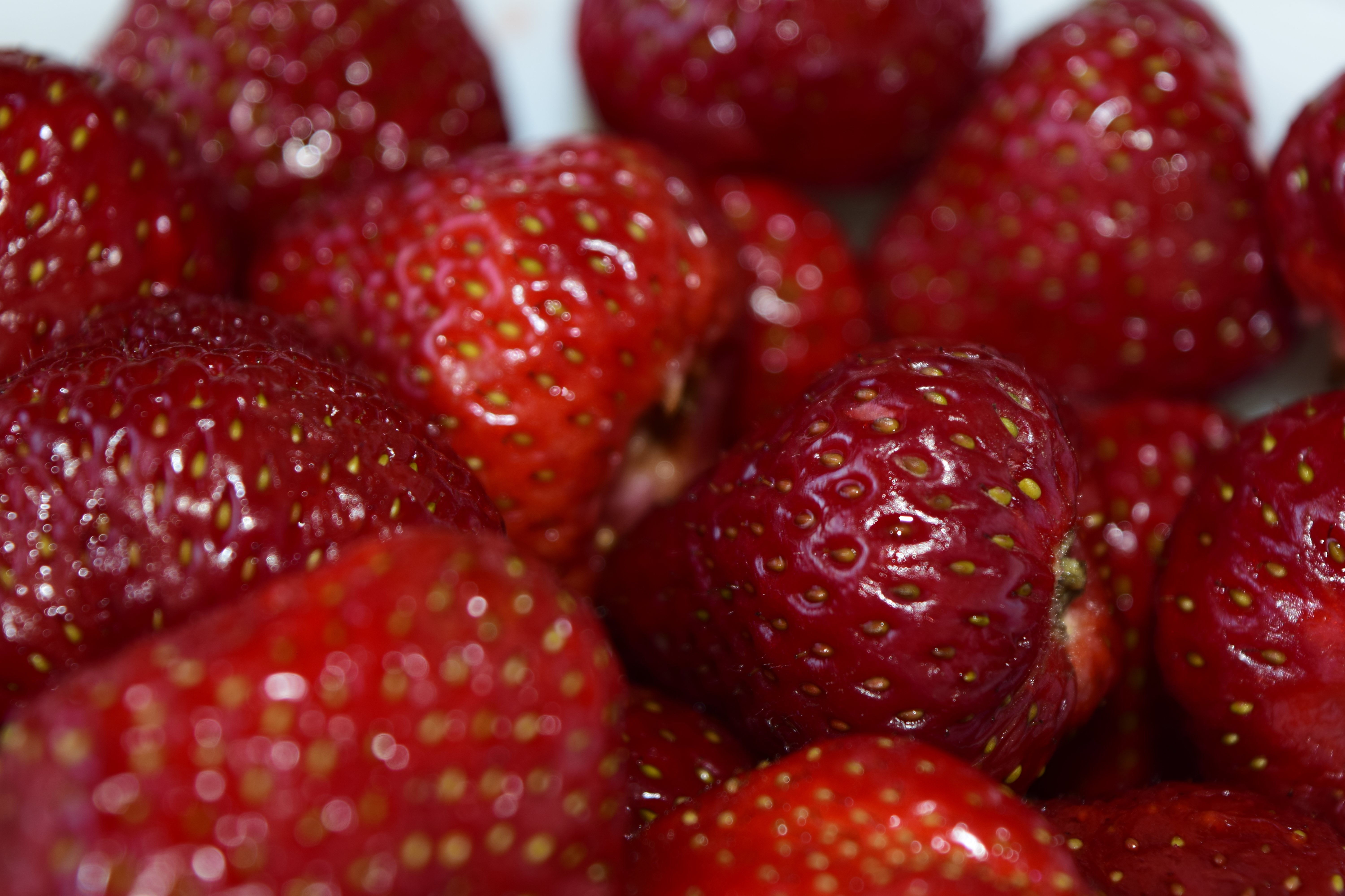 Free download high resolution image - free image free photo free stock image public domain picture -Strawberry