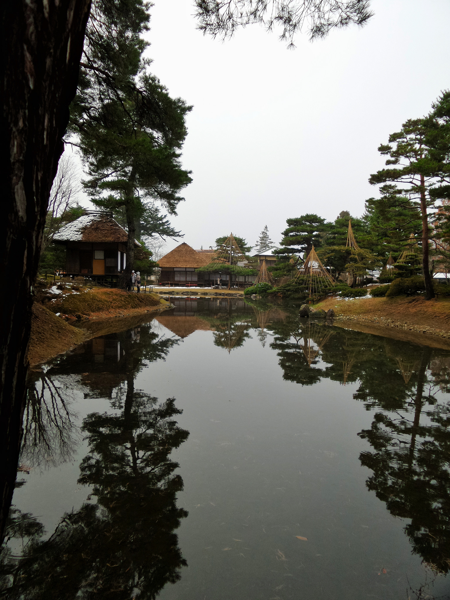 Free download high resolution image - free image free photo free stock image public domain picture -Japan garden with a pond