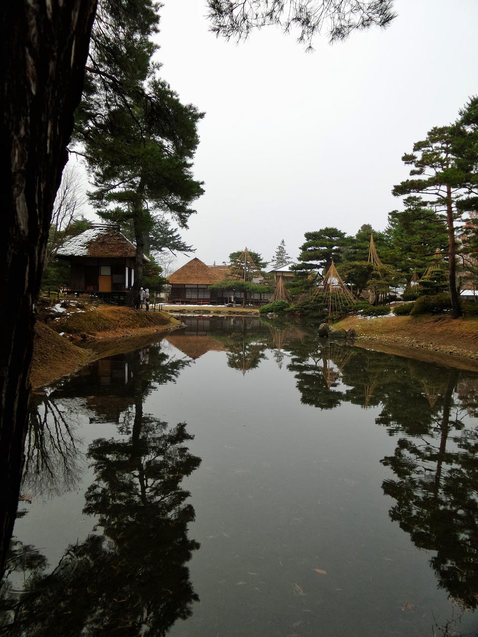 Free download high resolution image - free image free photo free stock image public domain picture  Japan garden with a pond