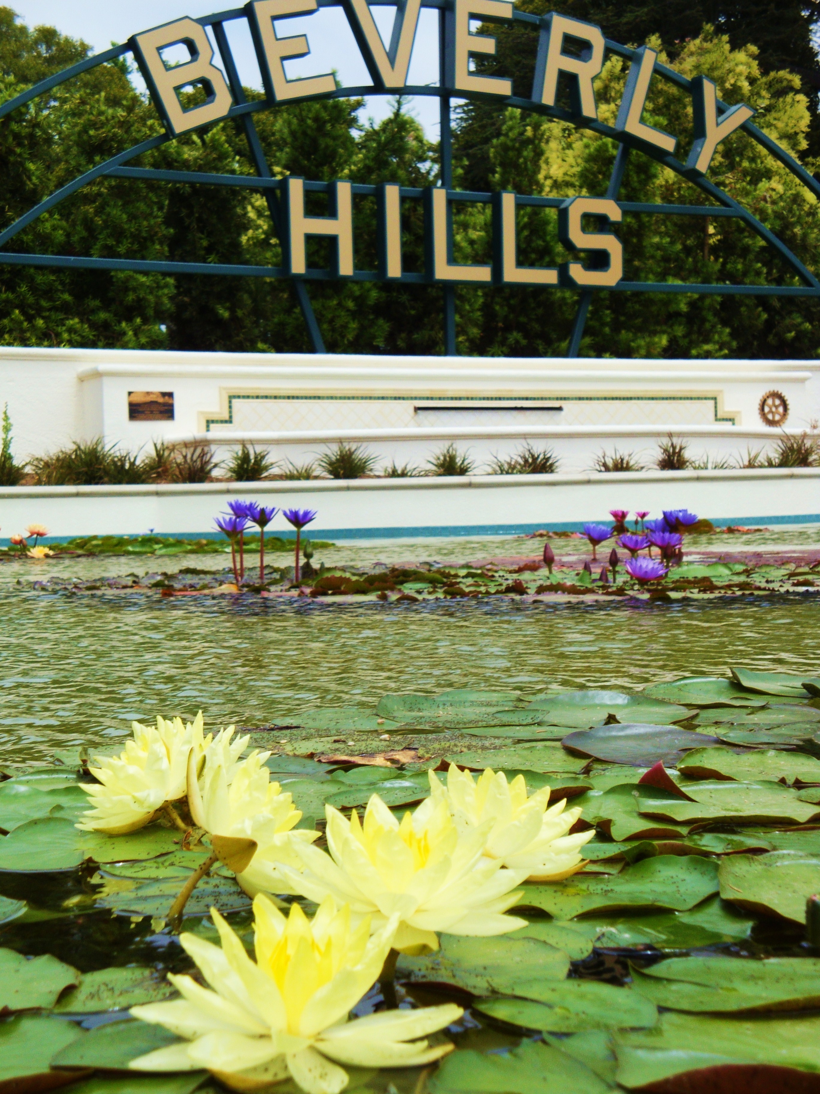 Free download high resolution image - free image free photo free stock image public domain picture -Beverly Hills