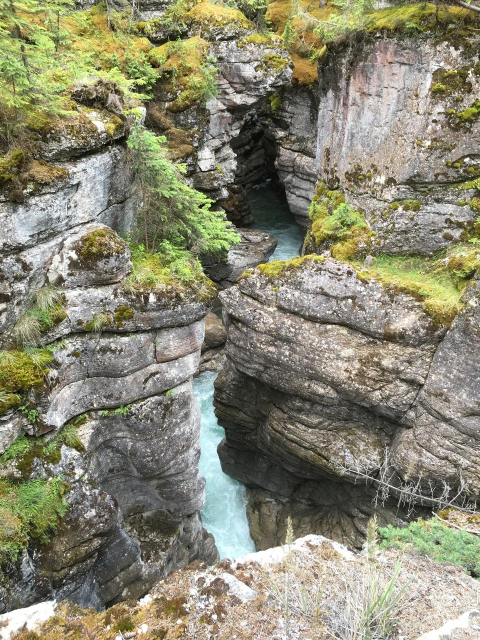 Free download high resolution image - free image free photo free stock image public domain picture  Sunwapta Falls, Jasper, Canadian Rockies