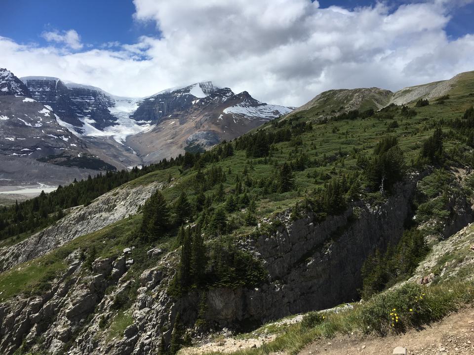 Free download high resolution image - free image free photo free stock image public domain picture  Snow Covered Mt Athabasca From the Wilcox Pass Trail