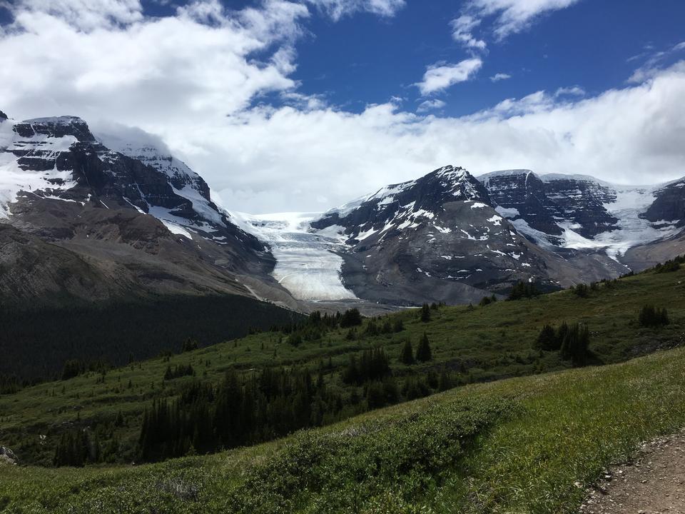 Free download high resolution image - free image free photo free stock image public domain picture  Snow Covered Mt Athabasca From the Wilcox Pass Trail