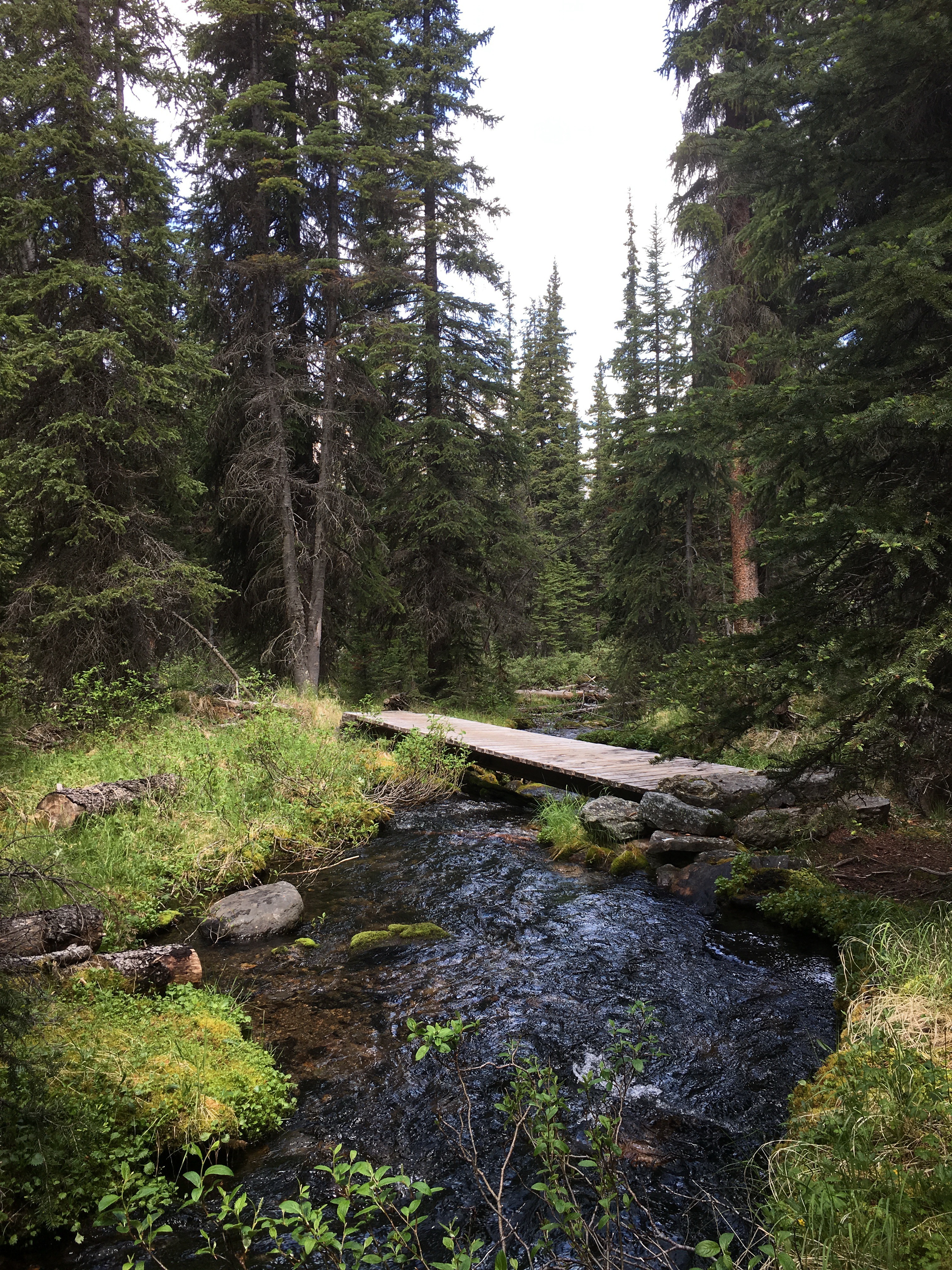 Free download high resolution image - free image free photo free stock image public domain picture -hiking trail in Opabin Plateau above Lake OHara