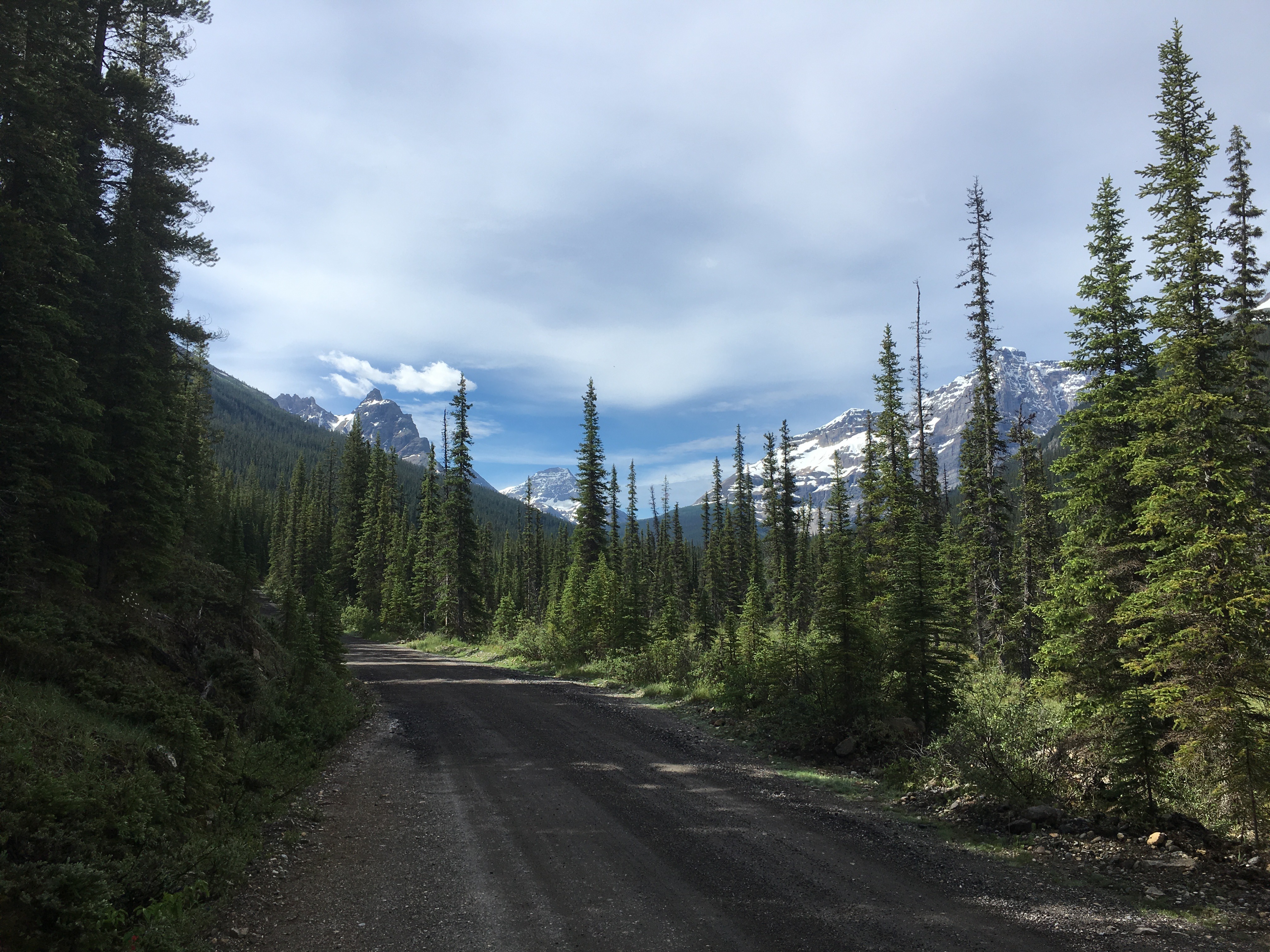 Free download high resolution image - free image free photo free stock image public domain picture -hiking trail in Opabin Plateau above Lake Ohara