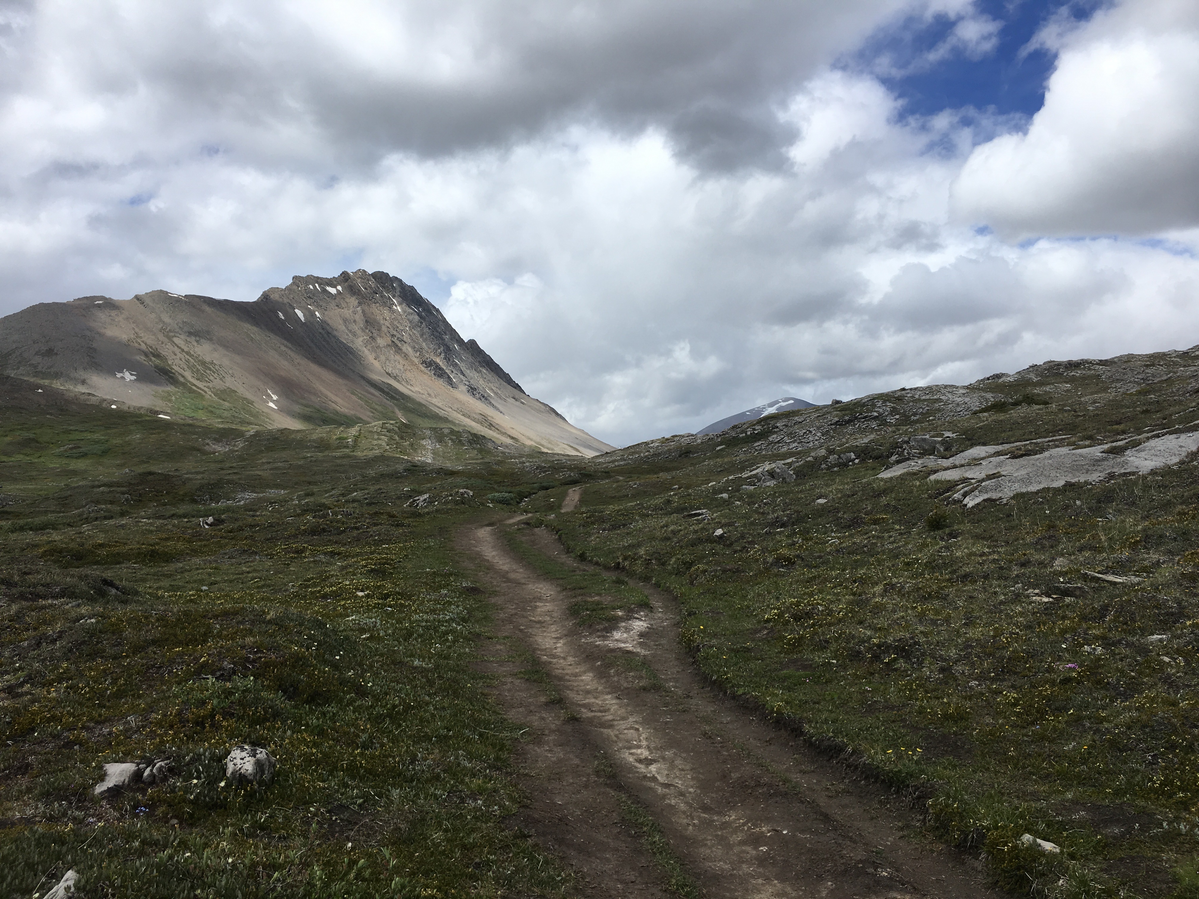 Free download high resolution image - free image free photo free stock image public domain picture -Snow Covered Mt Athabasca From the Wilcox Pass Trail