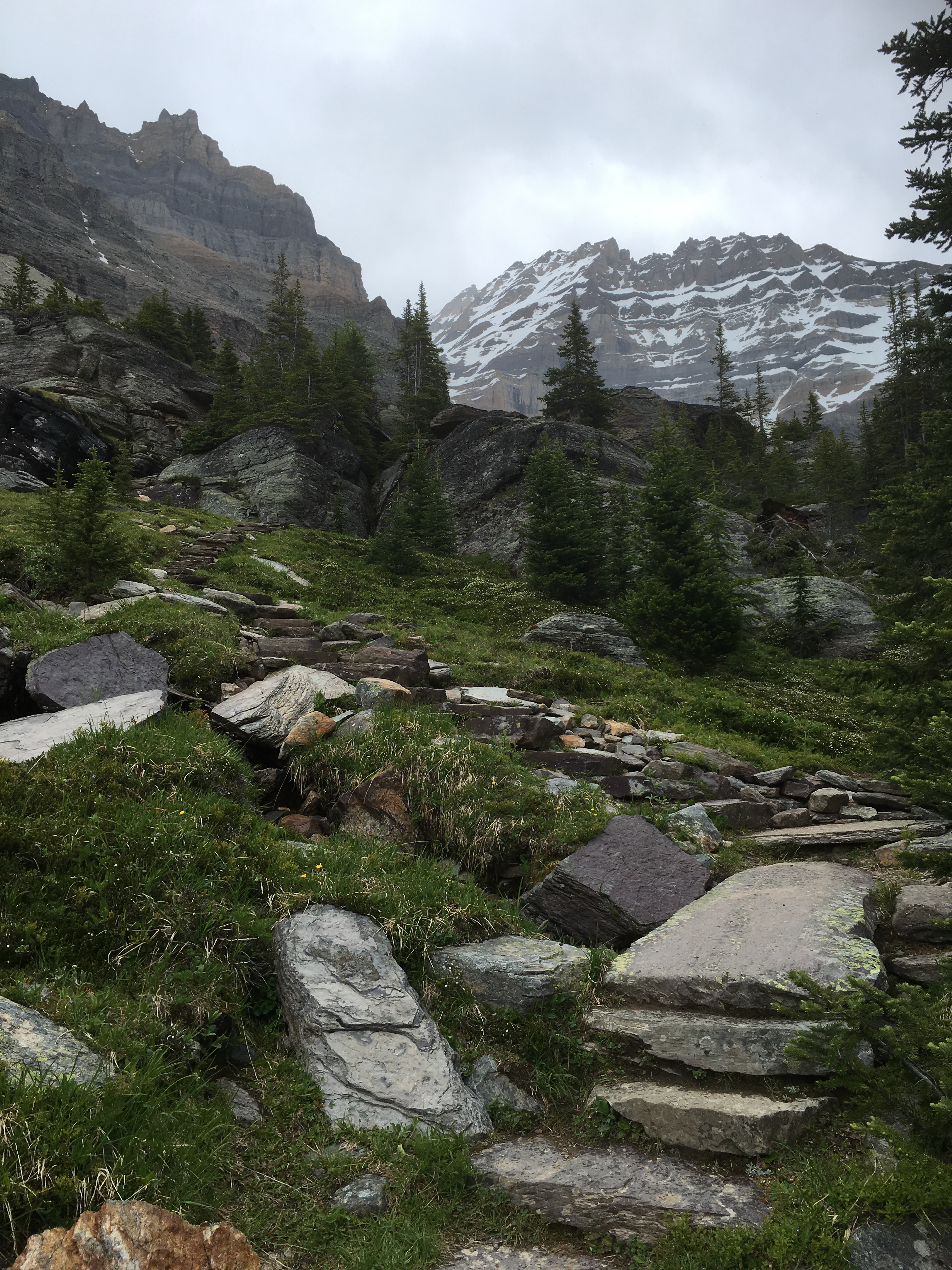 Free download high resolution image - free image free photo free stock image public domain picture -hiking trail in Opabin Plateau above Lake OHara