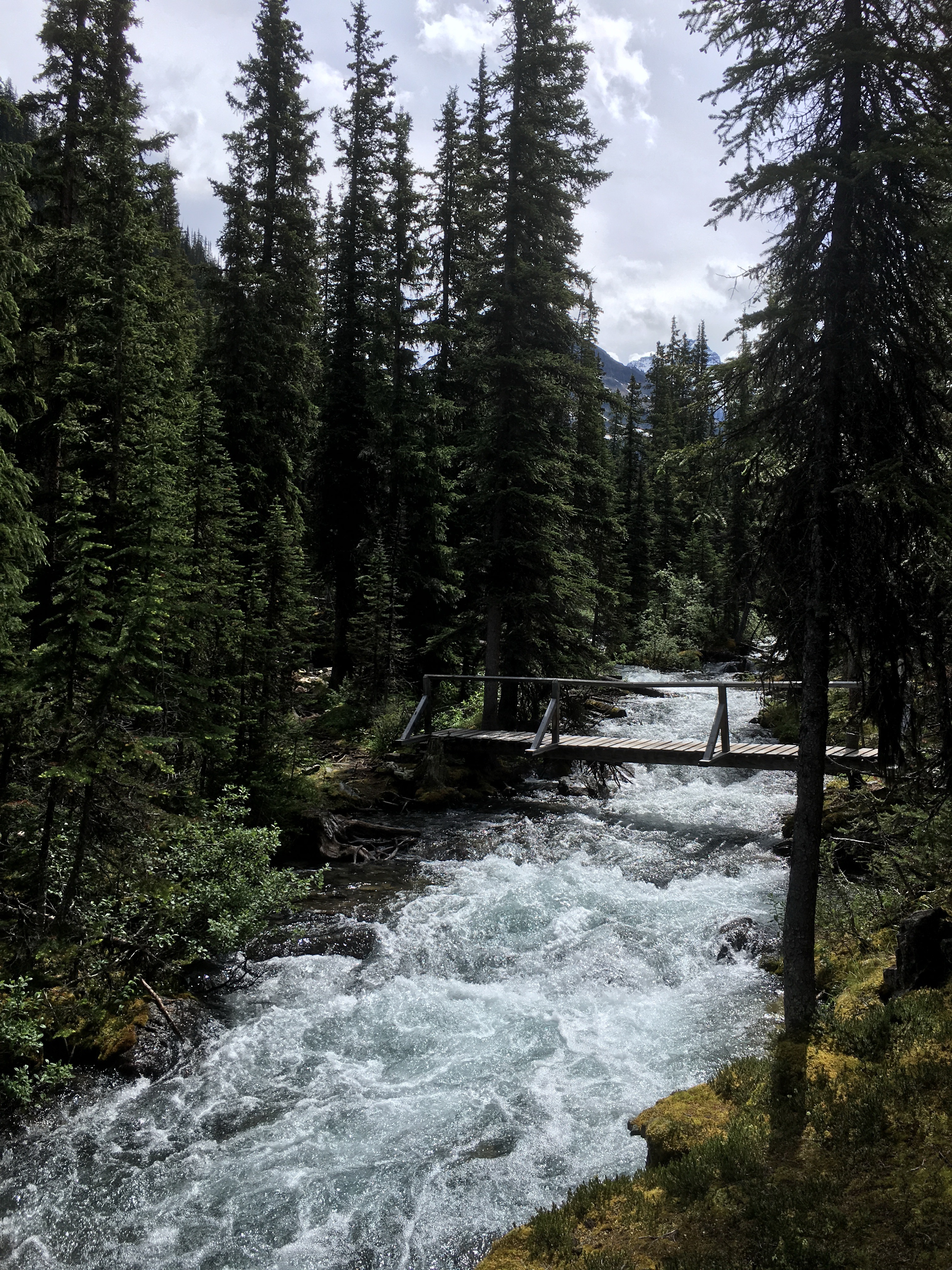 Free download high resolution image - free image free photo free stock image public domain picture -hiking trail in Opabin Plateau above Lake OHara