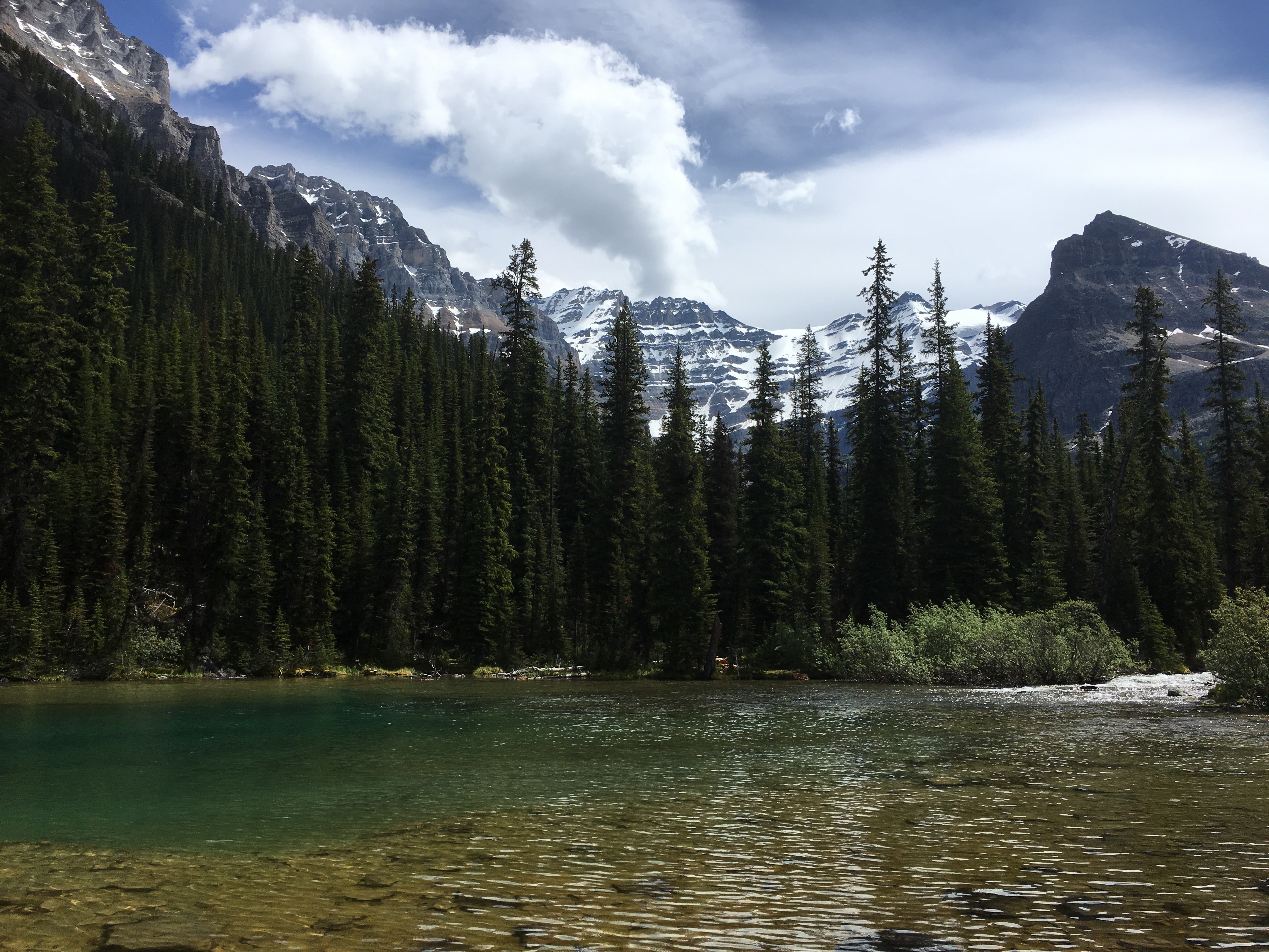 Free download high resolution image - free image free photo free stock image public domain picture -Lake O'Hara, Yoho National Park, Canadian Rockies